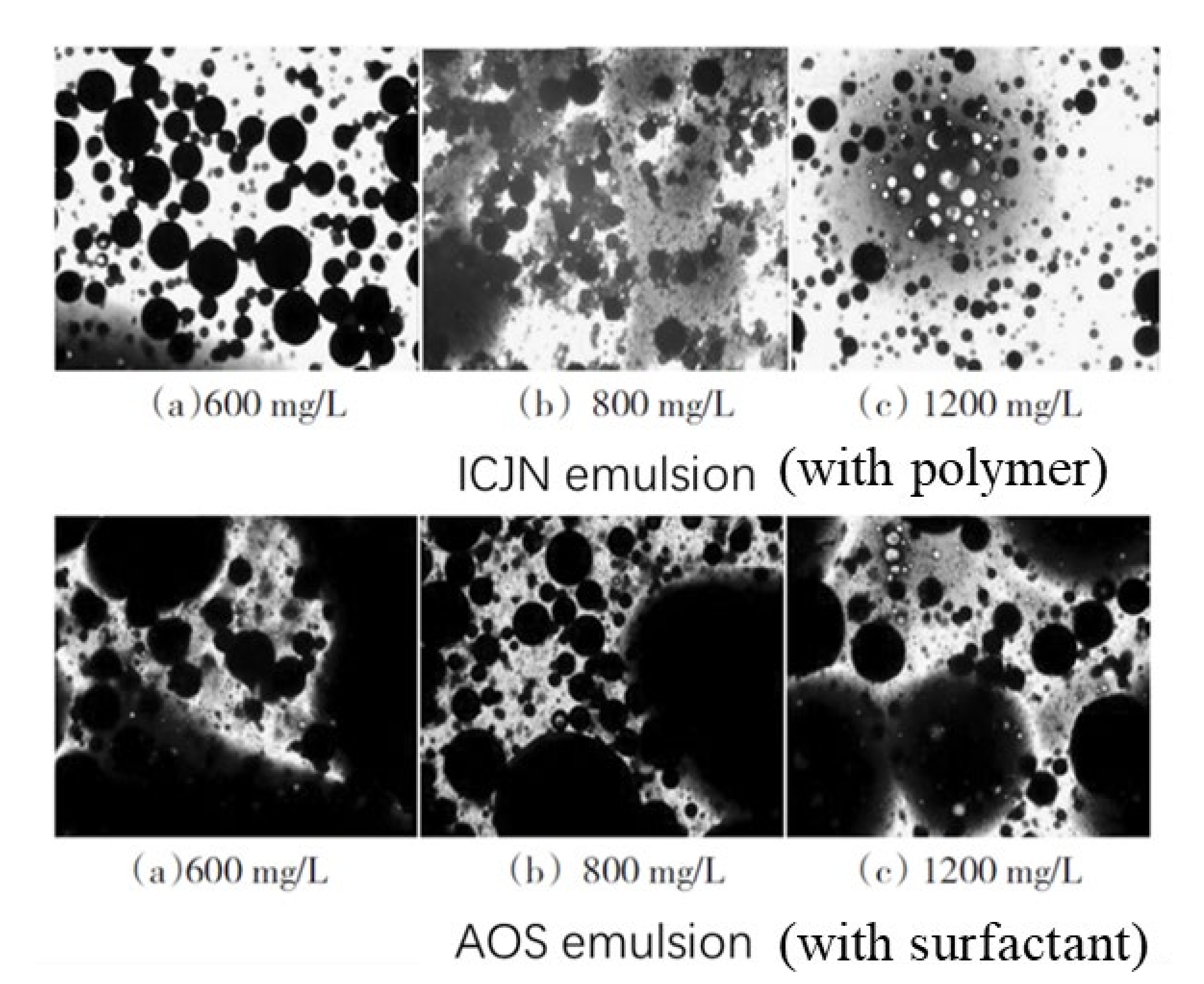 Molecules 27 06978 g010 Molecules 27 06978 g010
