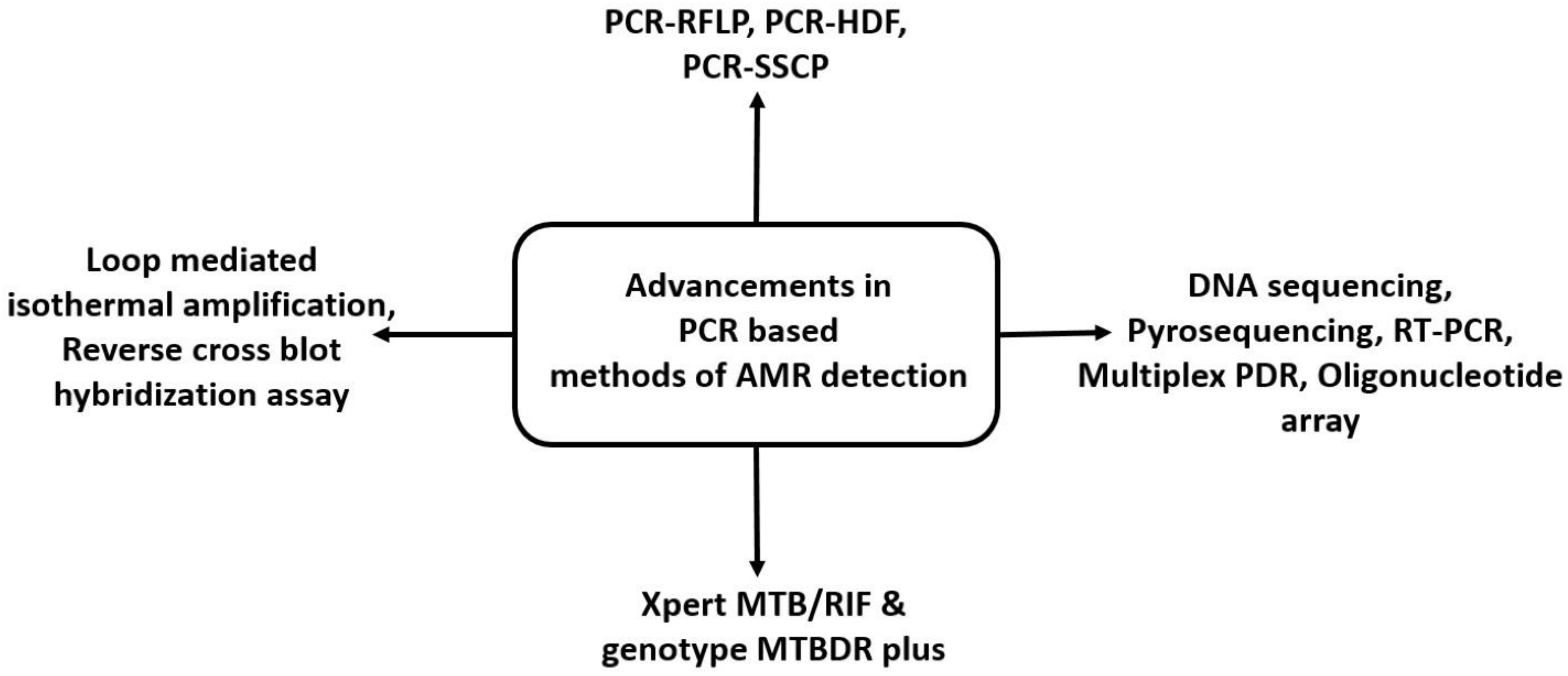Molecules 27 06985 g004 Molecules 27 06985 g004