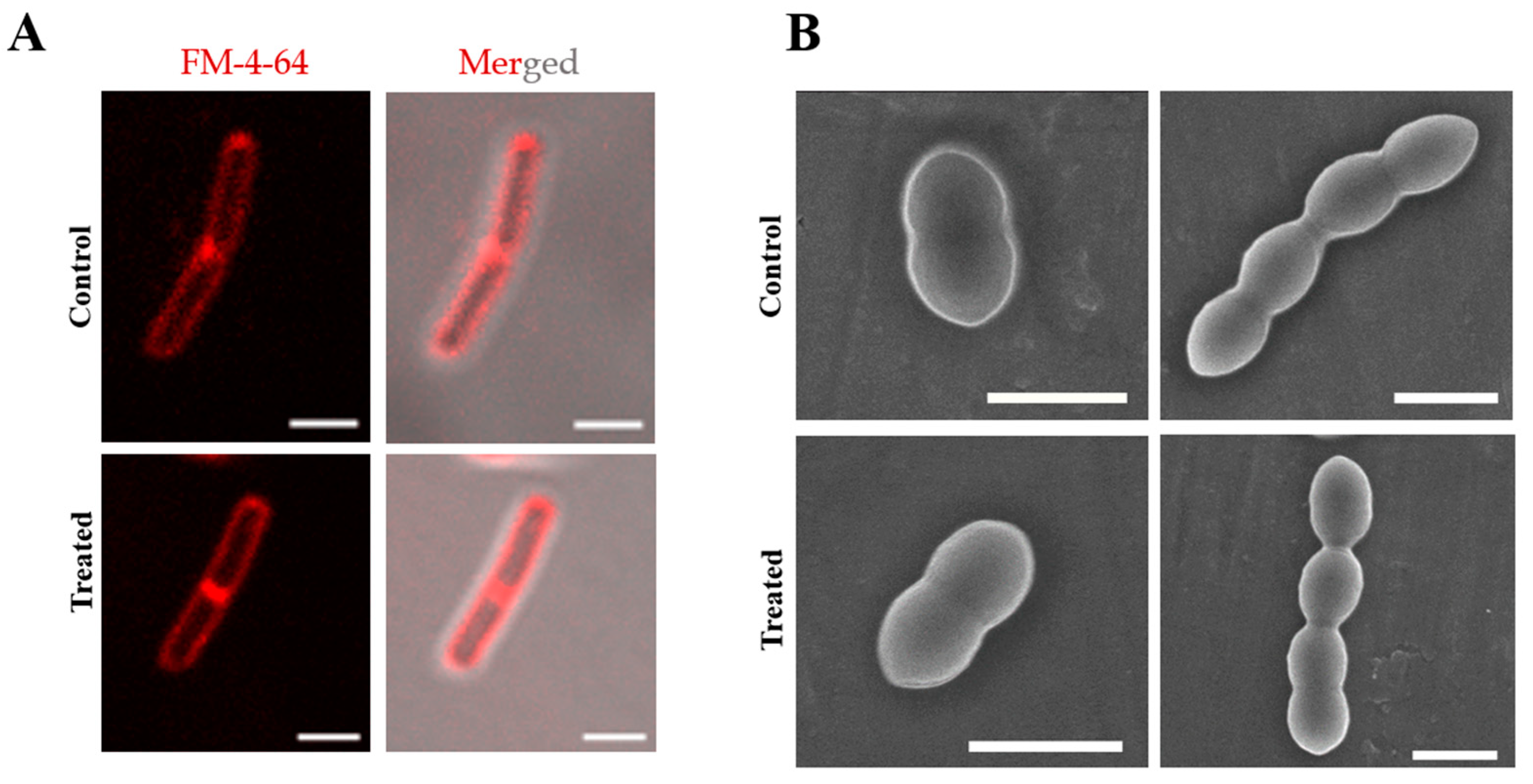 Molecules 27 06993 g005 Molecules 27 06993 g005