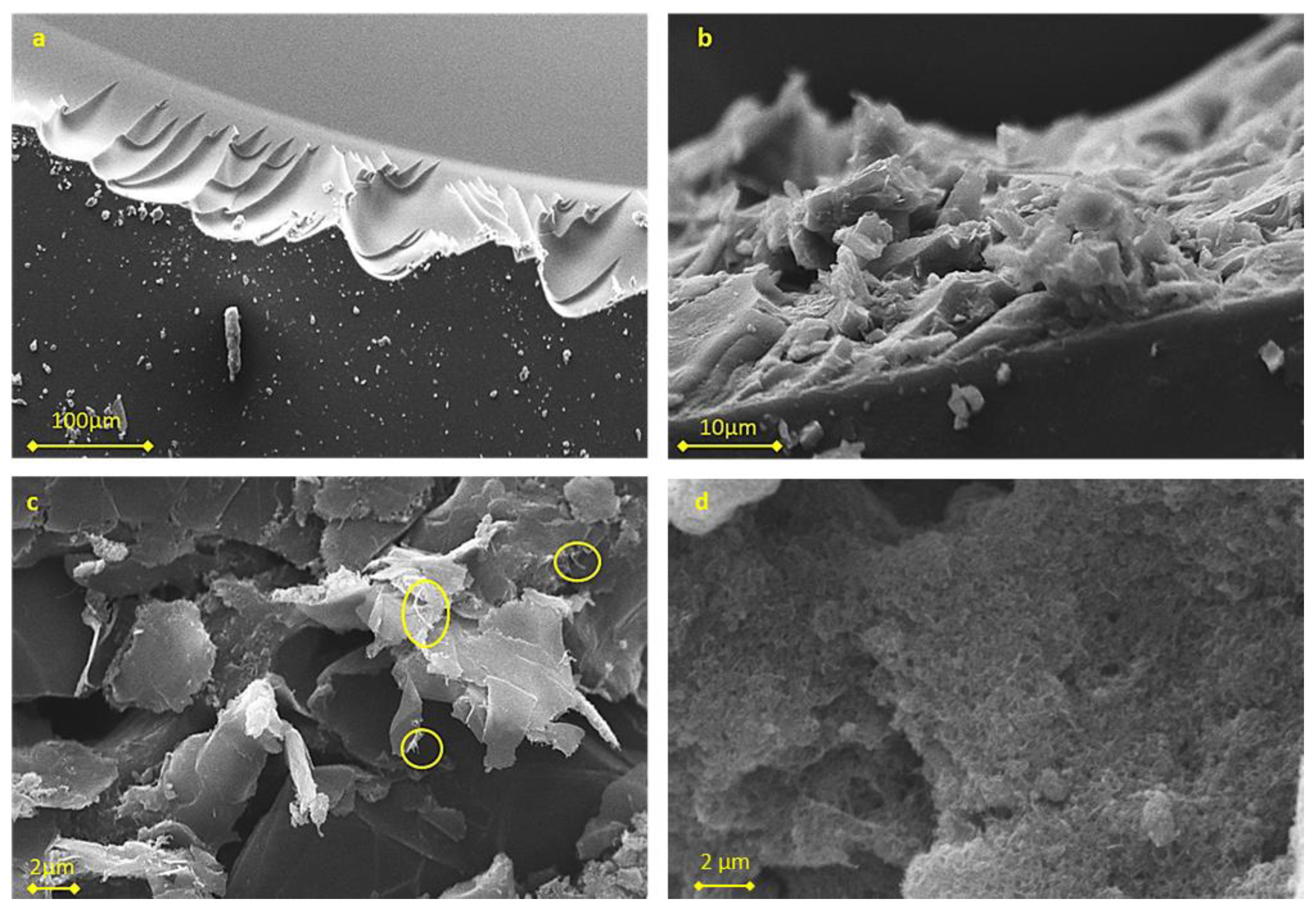Molecules 27 06996 g001 Molecules 27 06996 g001