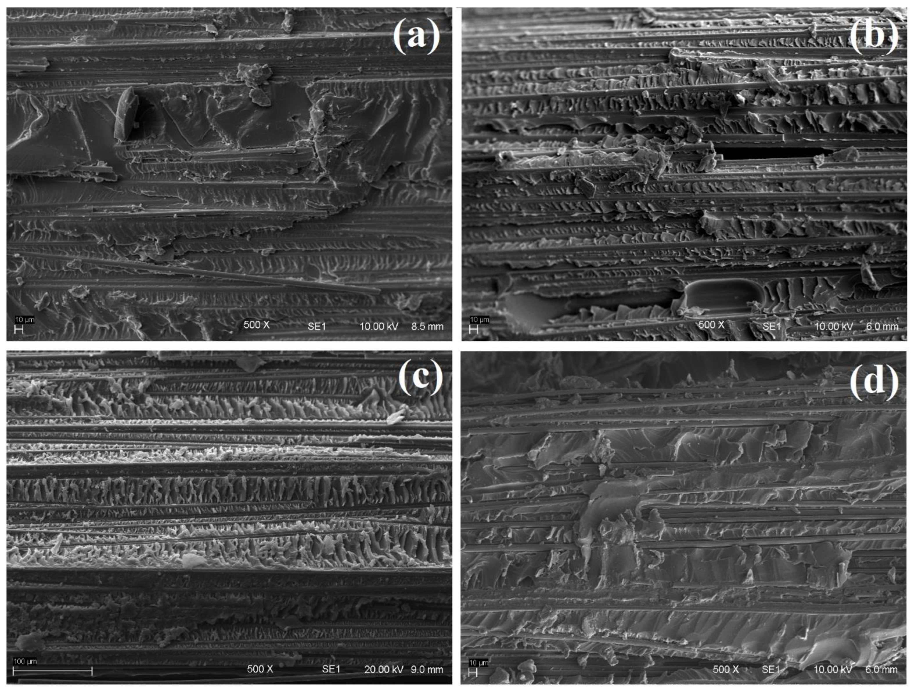 Molecules 27 07001 g004 Molecules 27 07001 g004