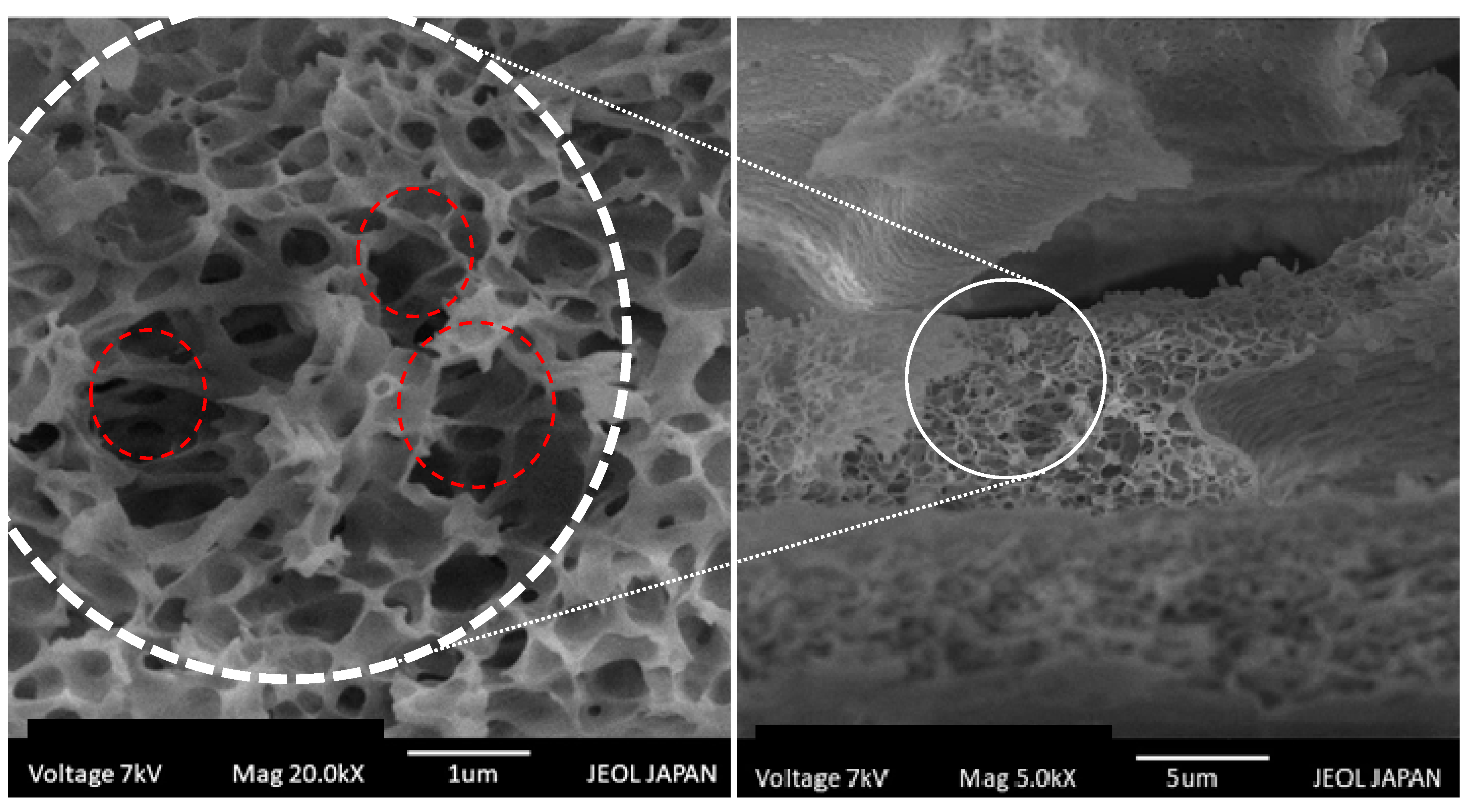 Molecules 27 07004 g008 Molecules 27 07004 g008