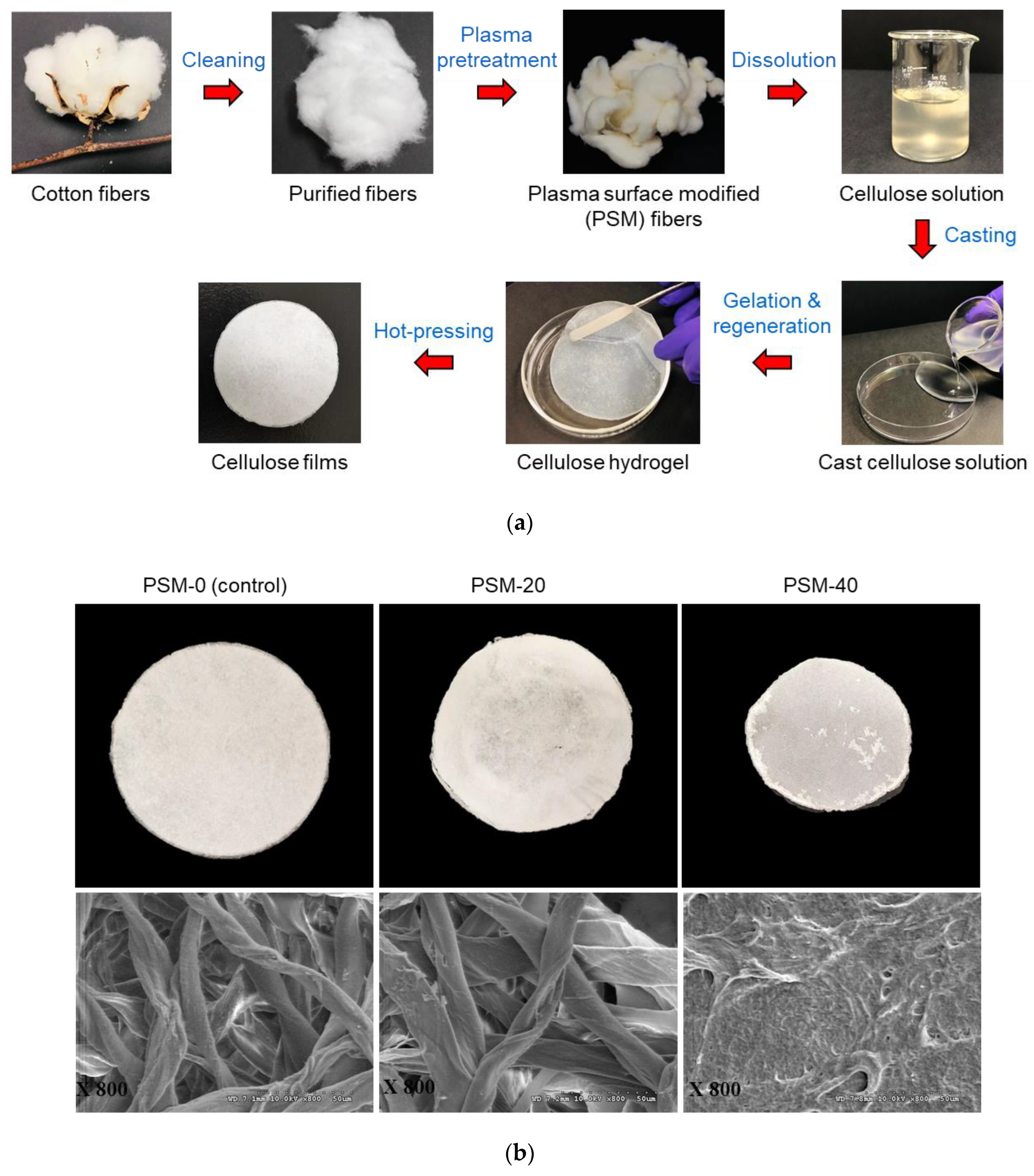 Molecules 27 07007 g005 Molecules 27 07007 g005