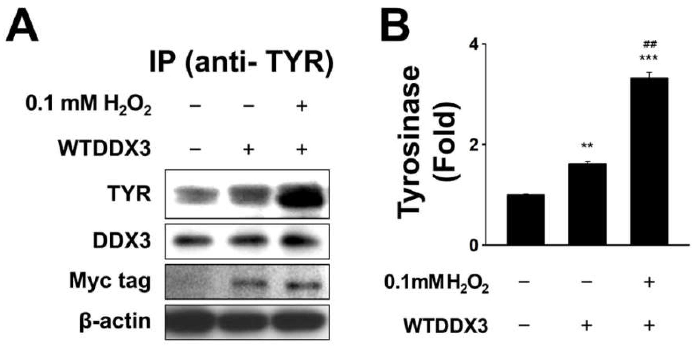 Molecules 27 07010 g003
