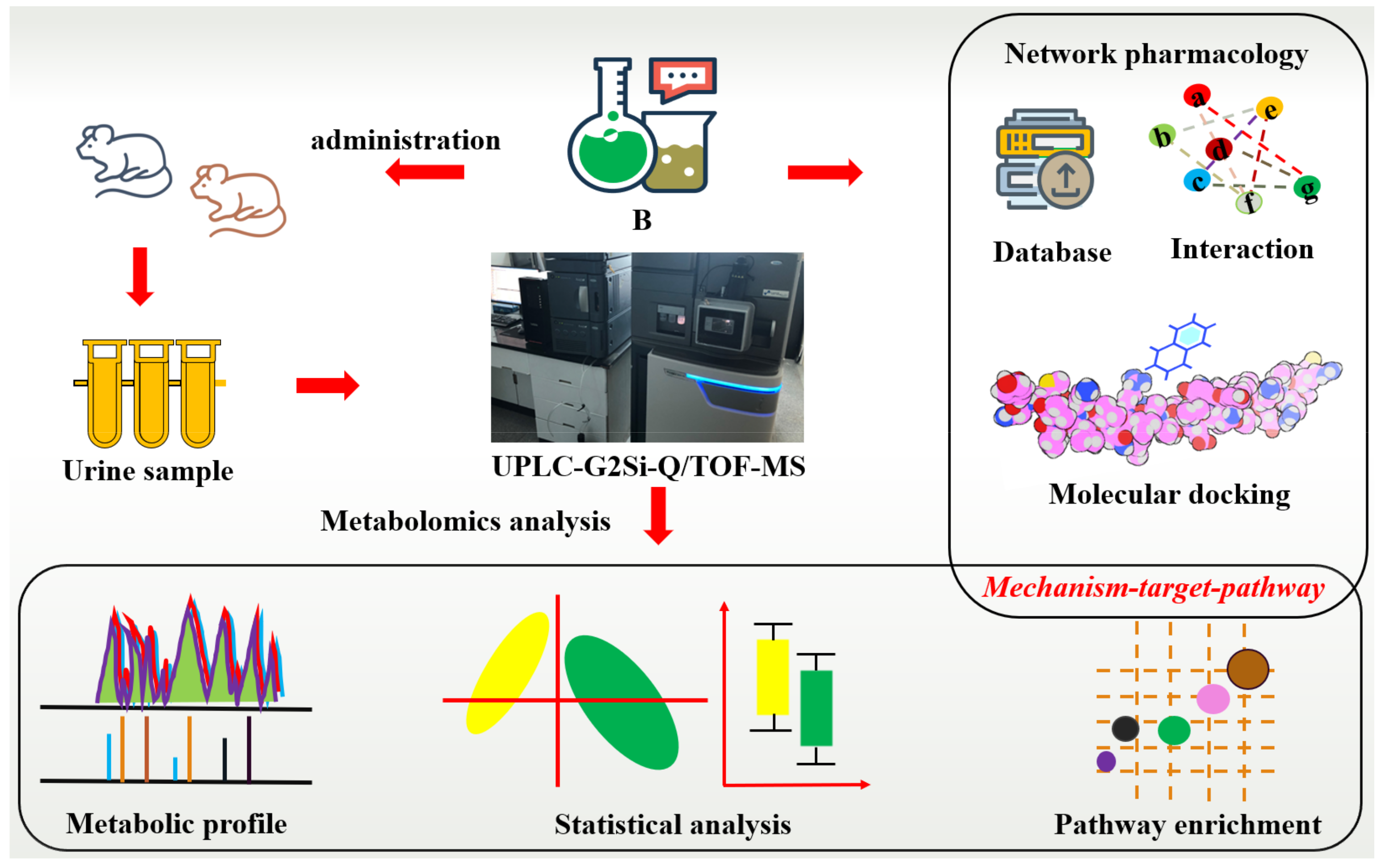 Molecules | Free Full-Text | High-Throughput Metabolomics 
