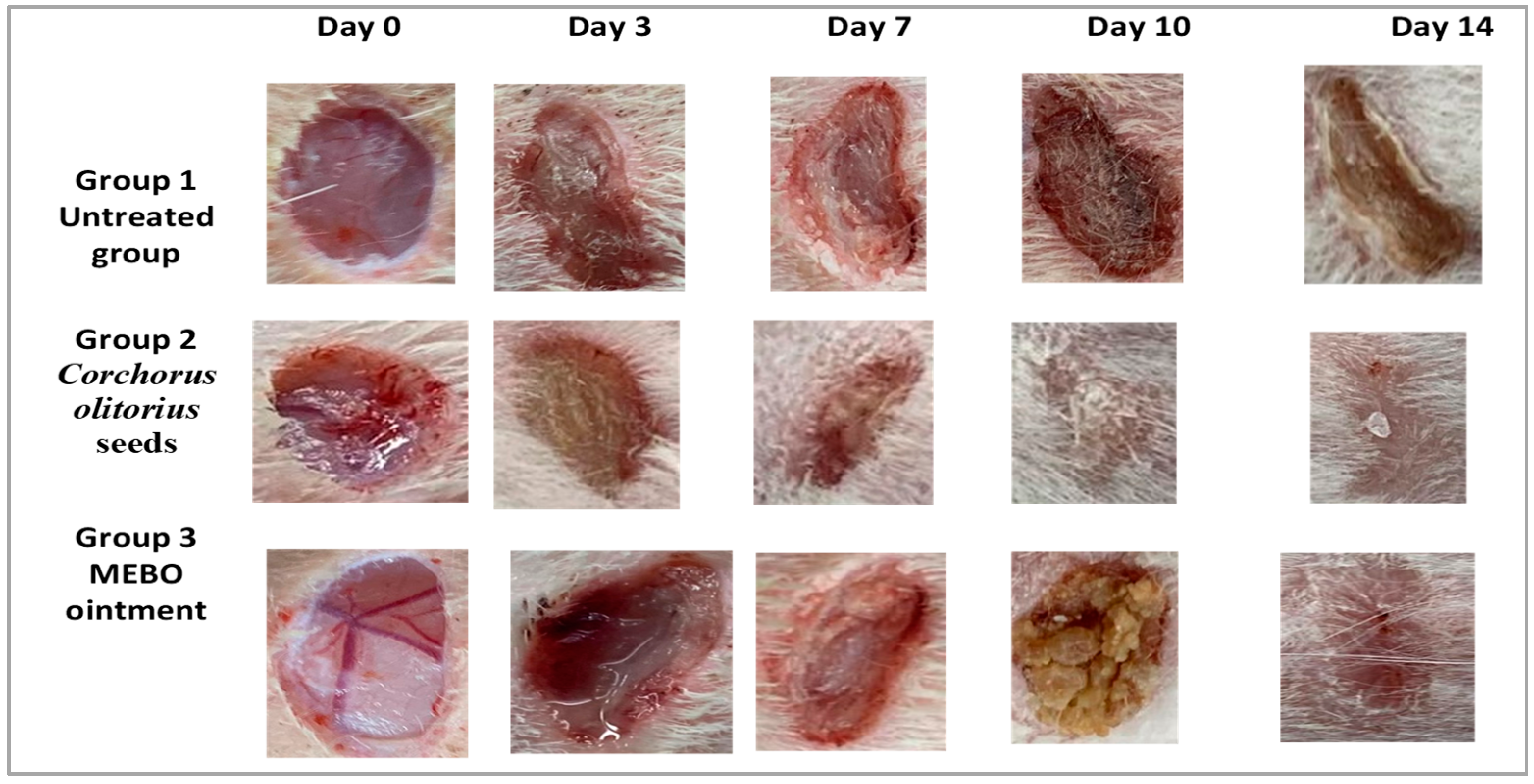 Molecules 27 07020 g003 Molecules 27 07020 g003