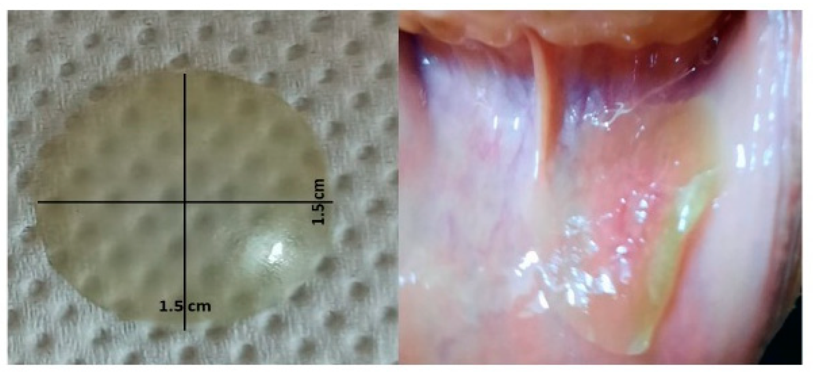 Molecules 27 07020 g009 Molecules 27 07020 g009