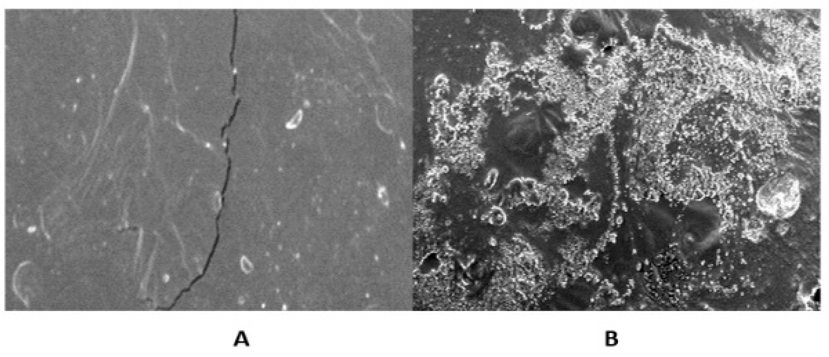 Molecules 27 07020 g010 Molecules 27 07020 g010