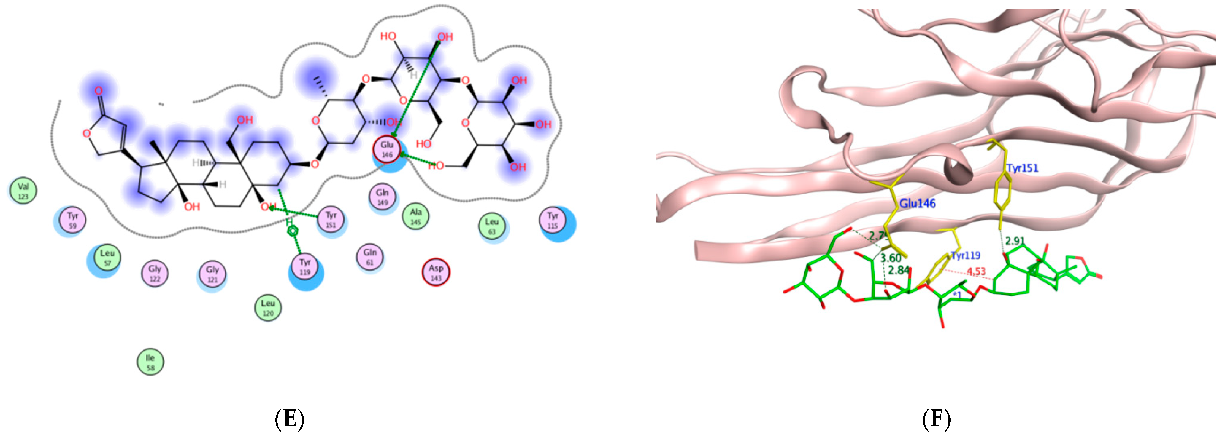 Molecules 27 07020 g012b Molecules 27 07020 g012b