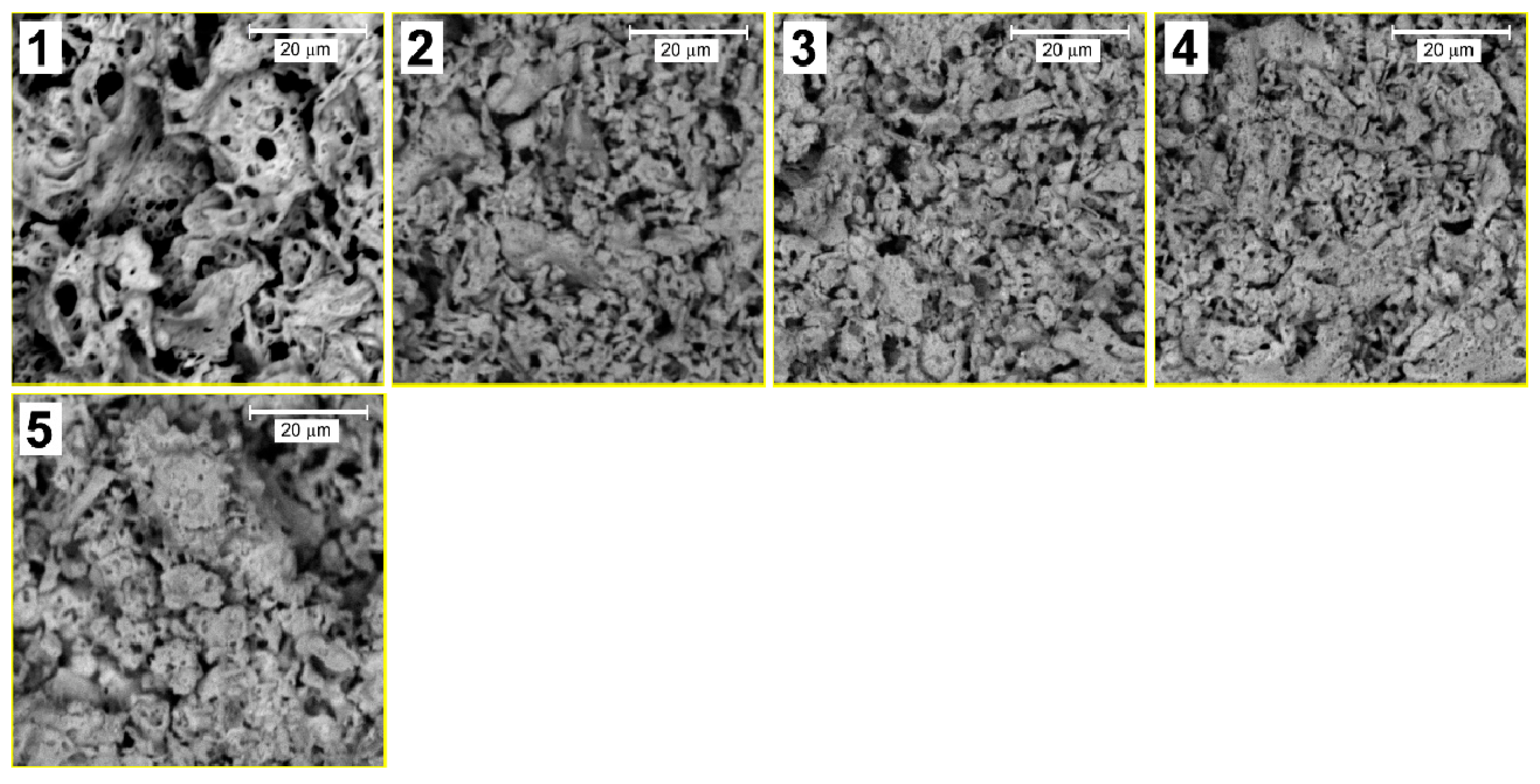 Molecules 27 07029 g002 Molecules 27 07029 g002