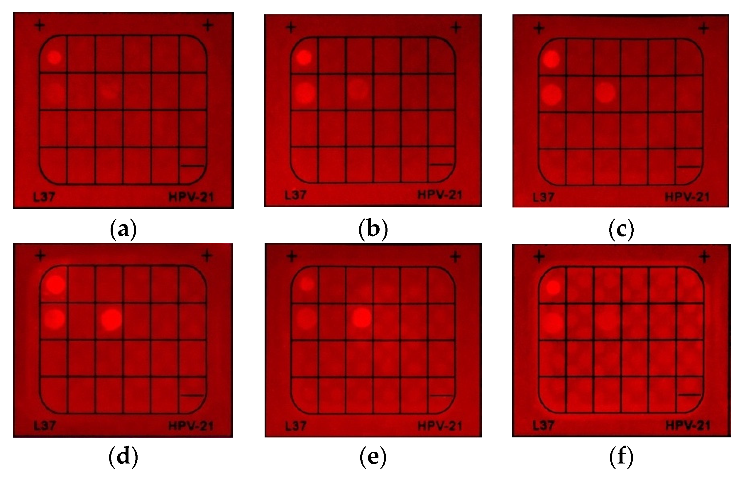 Molecules 27 07036 g006 Molecules 27 07036 g006