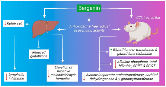 Clinical Potential of Himalayan Herb Bergenia ligulata: An Evidence-Based Study