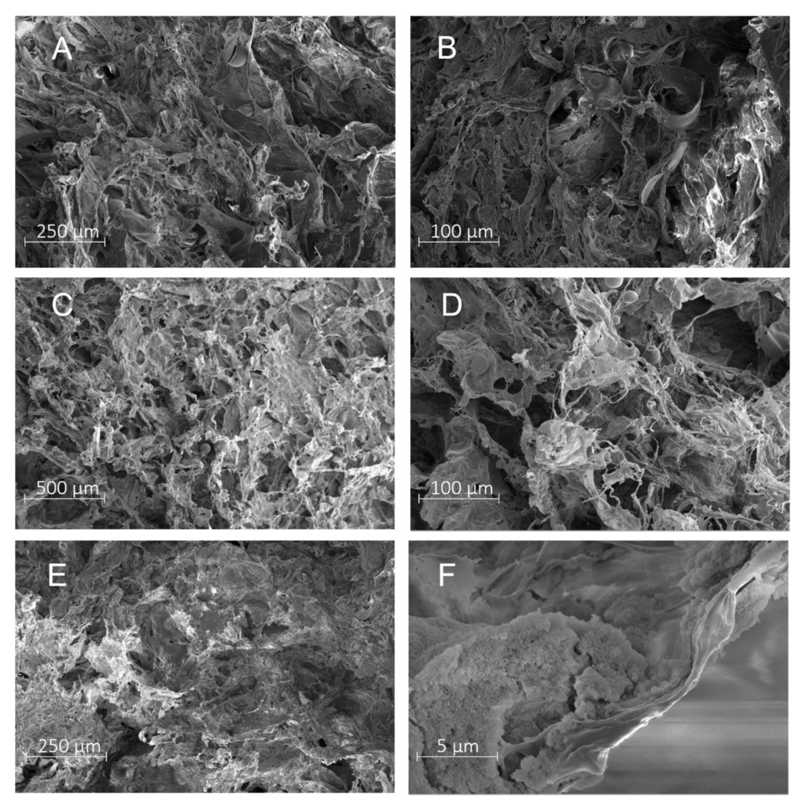 Molecules 27 07045 g001