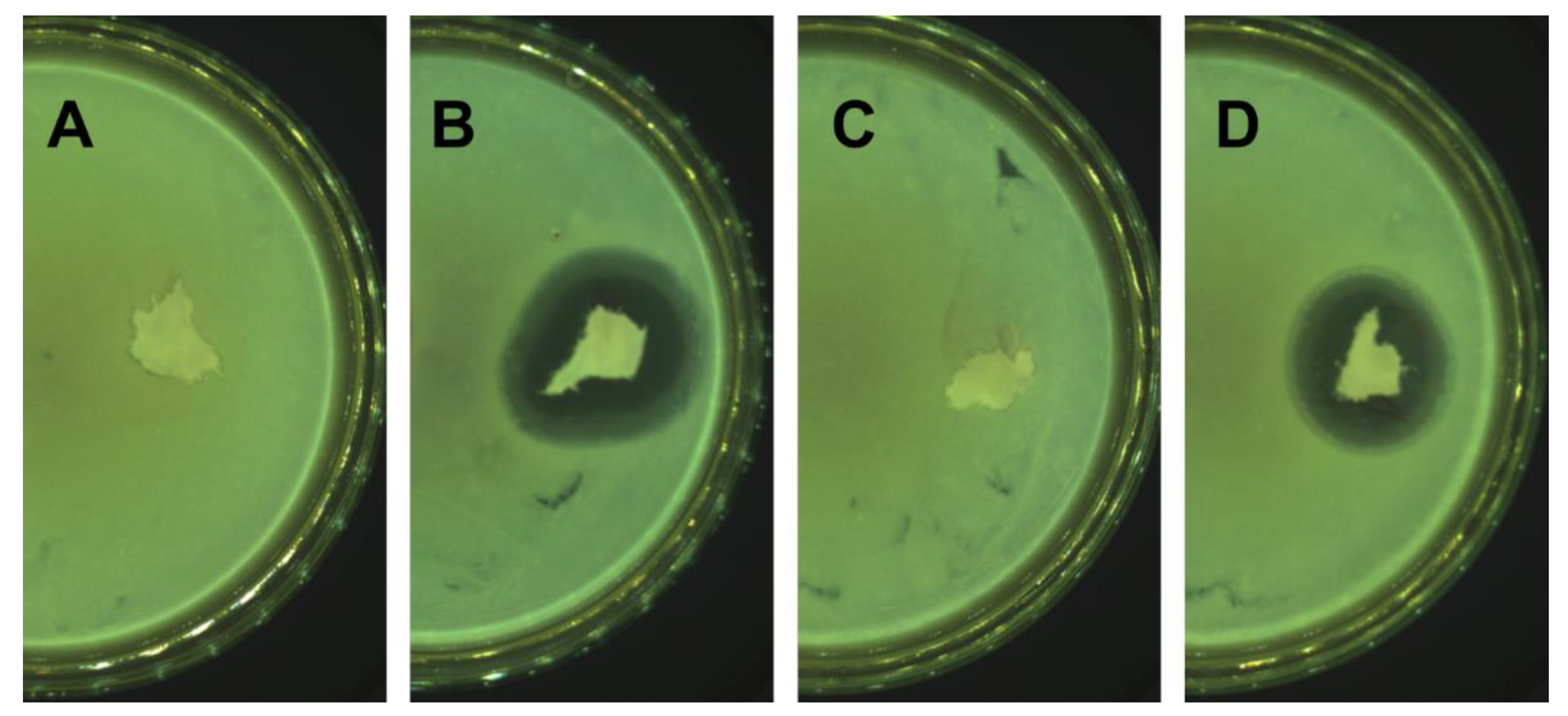 Molecules 27 07045 g003