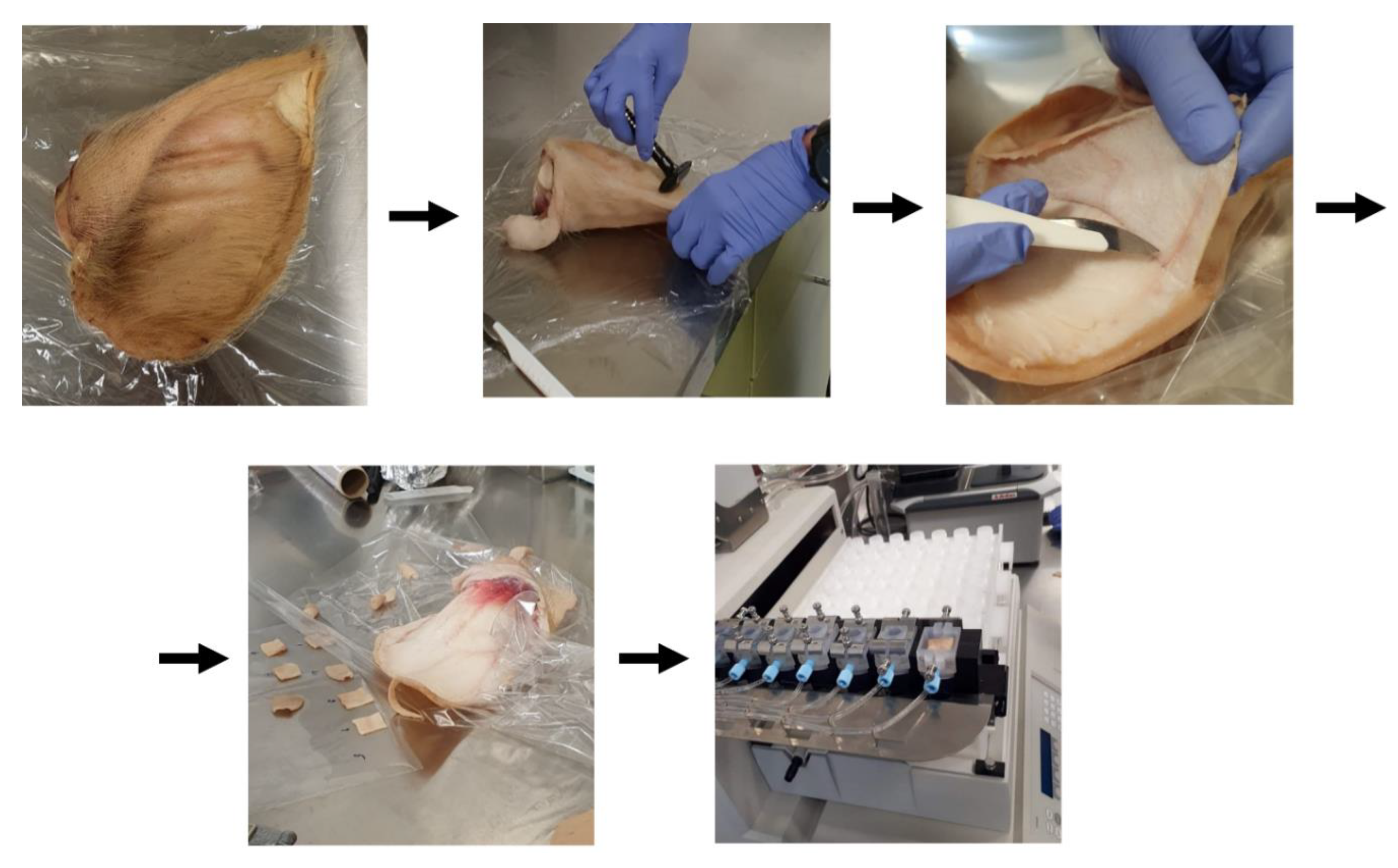 Molecules 27 07045 g006