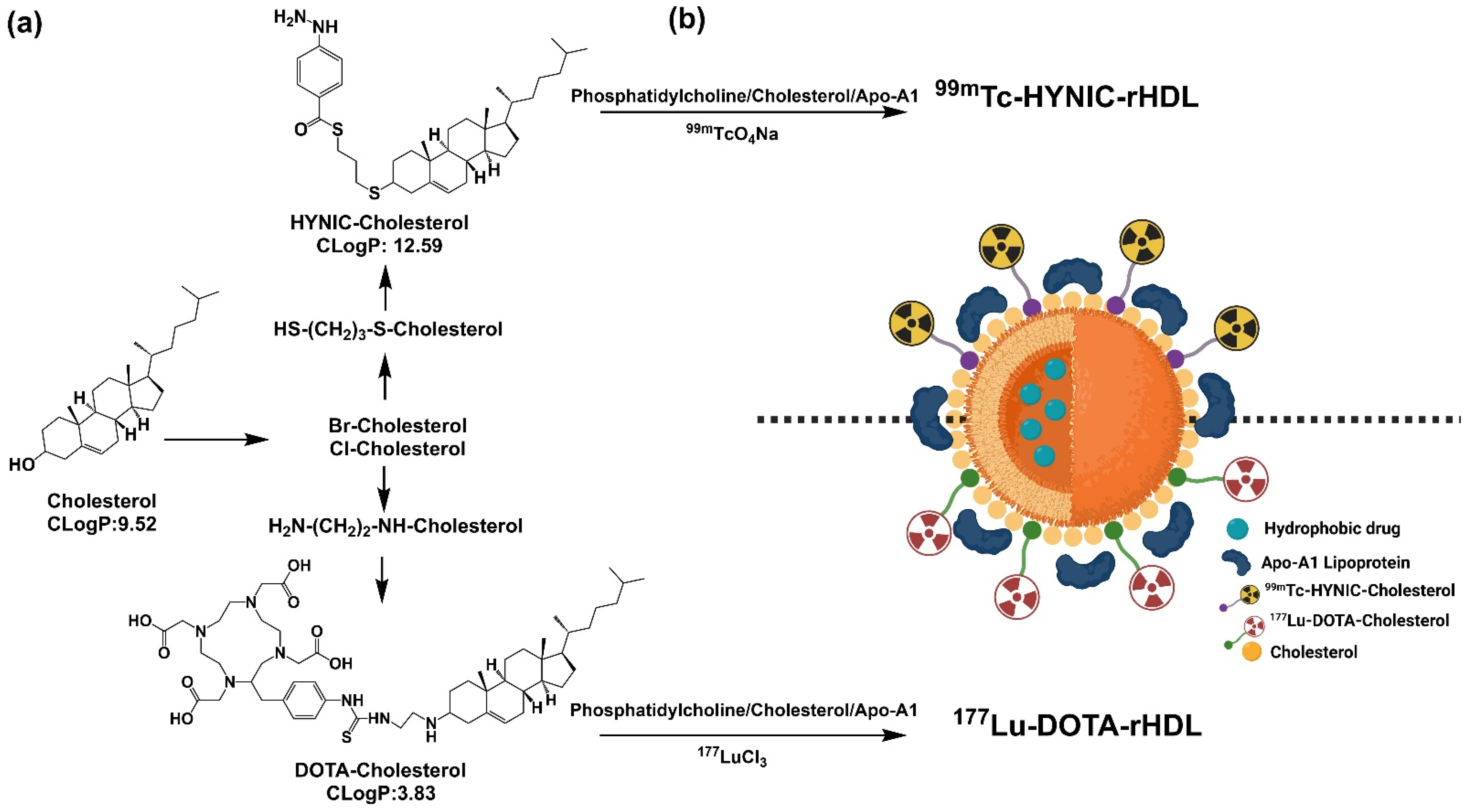 Molecules 27 07046 g001 Molecules 27 07046 g001