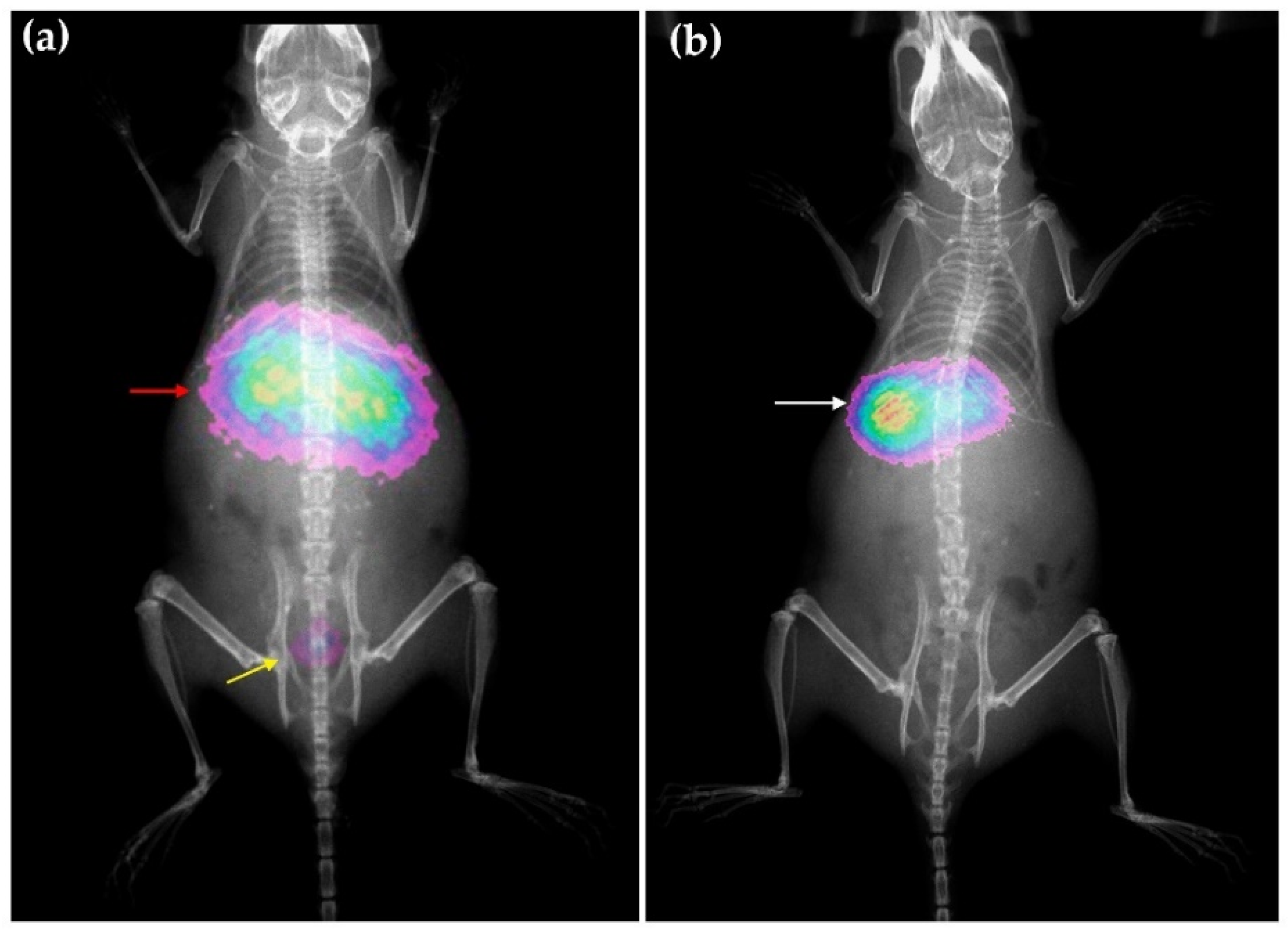 Molecules 27 07046 g008 Molecules 27 07046 g008
