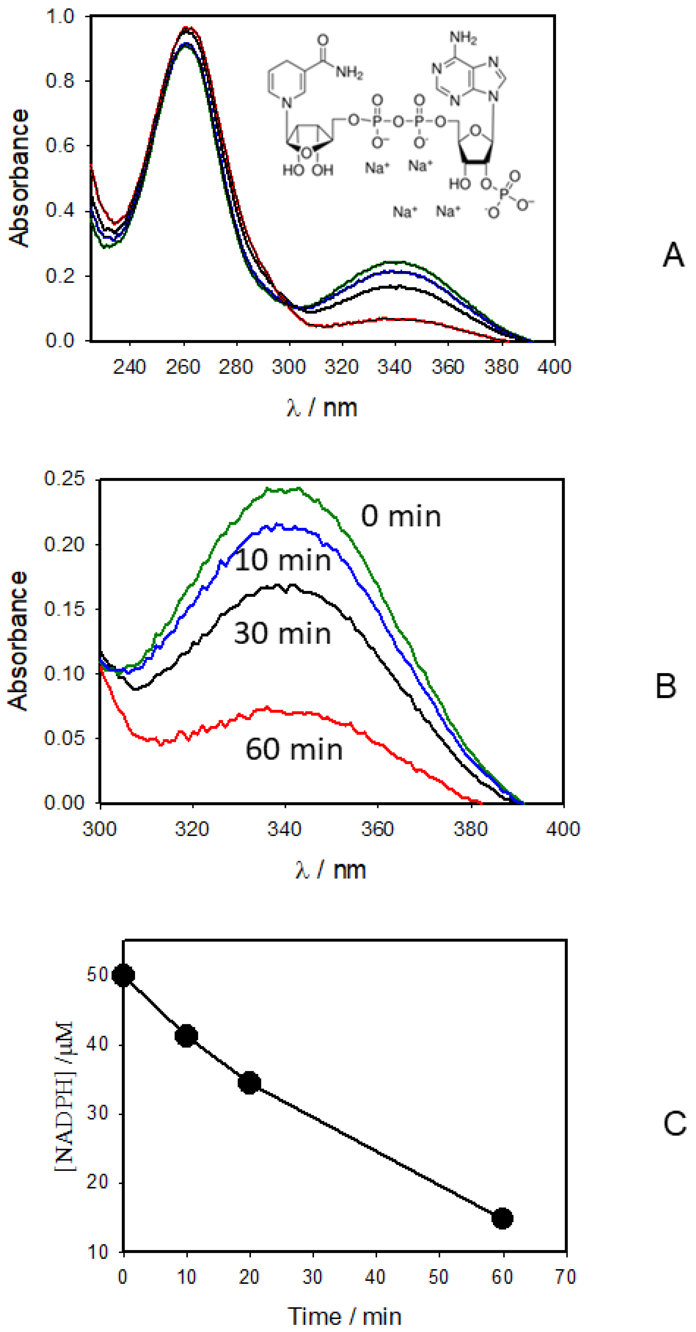 Molecules 27 07051 g005 Molecules 27 07051 g005