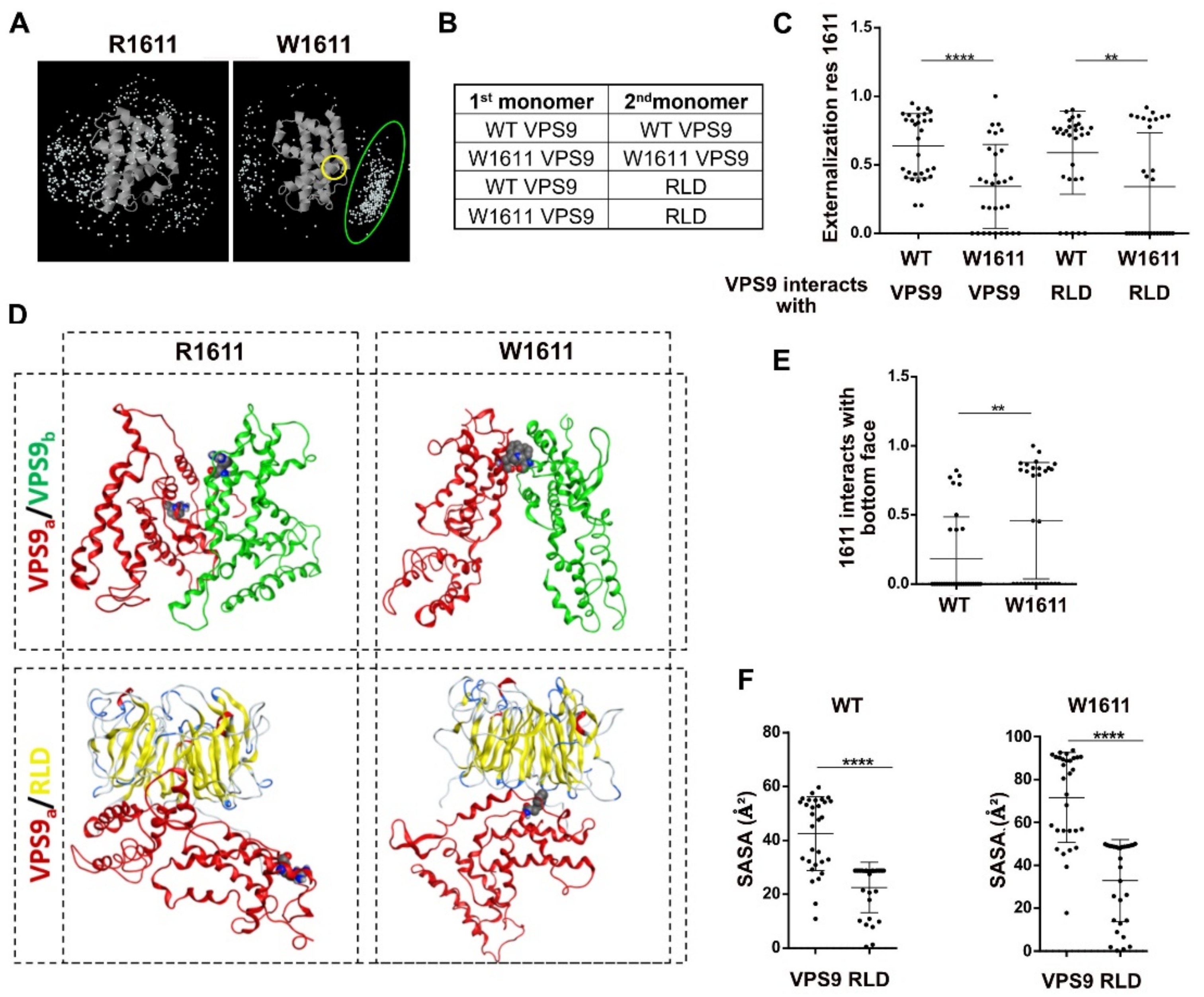 Molecules 27 07063 g004 Molecules 27 07063 g004