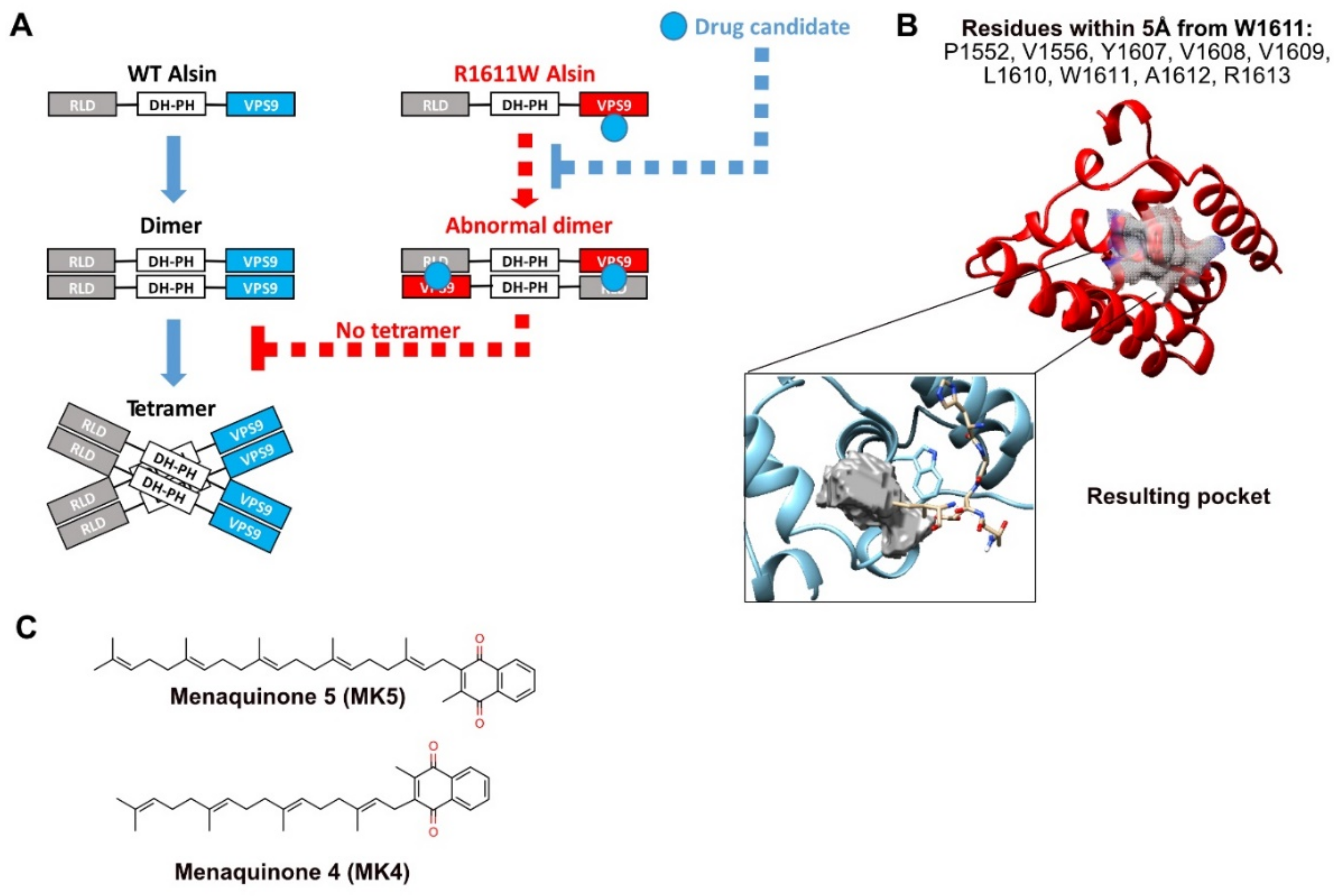 Molecules 27 07063 g007 Molecules 27 07063 g007