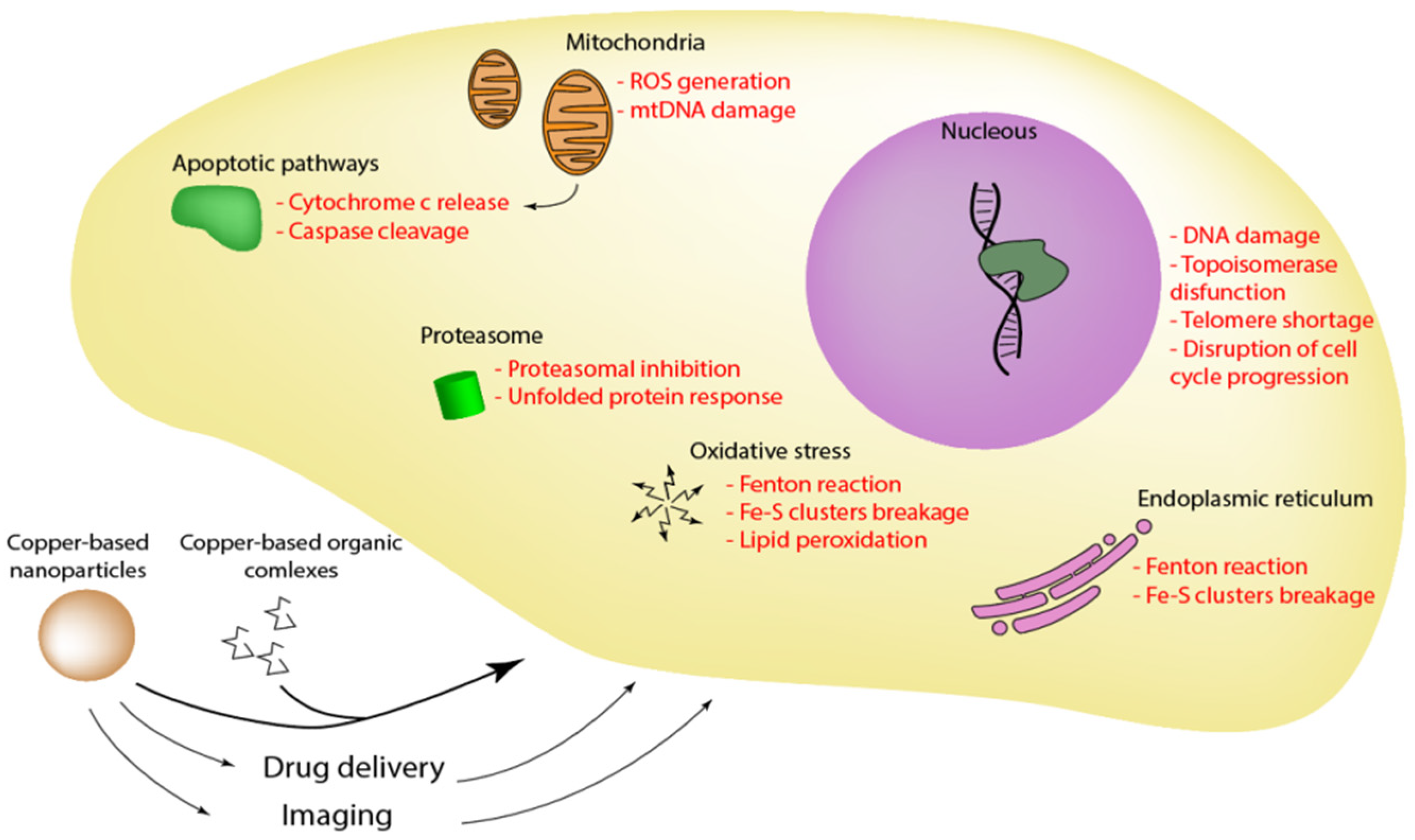 Molecules 27 07066 g002 Molecules 27 07066 g002