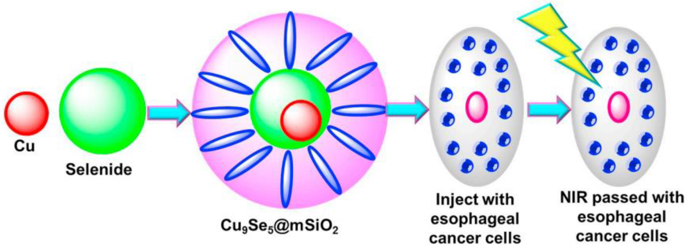 Molecules 27 07066 g004 Molecules 27 07066 g004