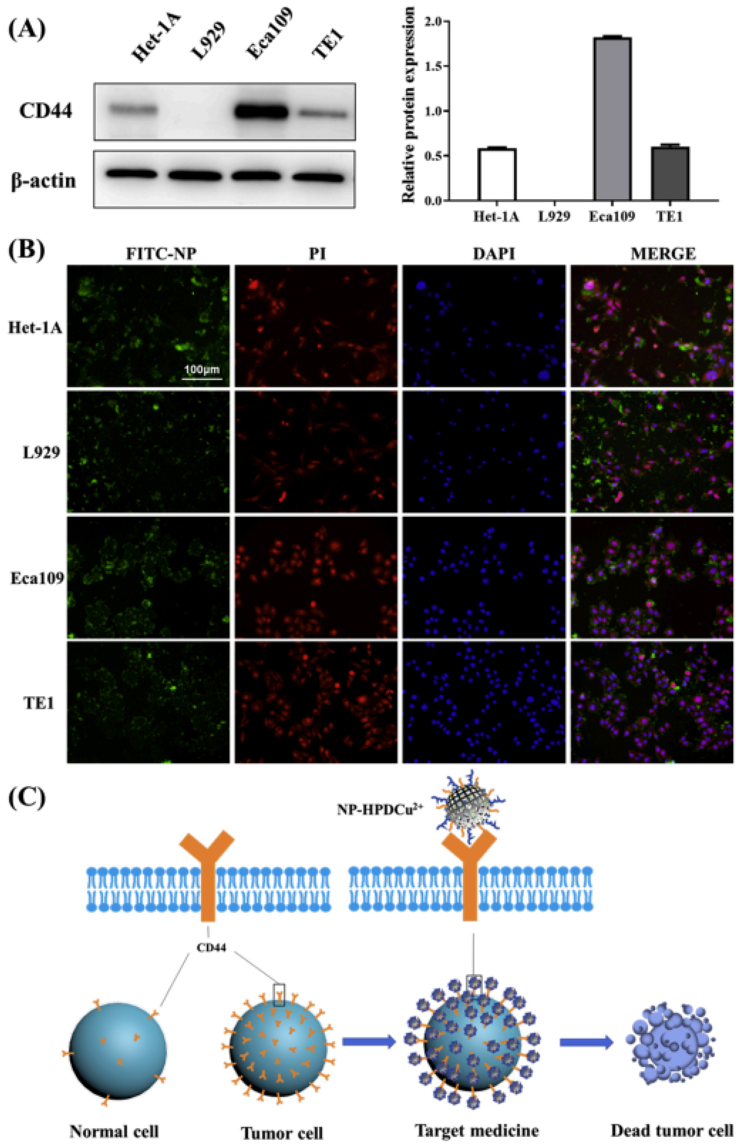 Molecules 27 07066 g005 Molecules 27 07066 g005