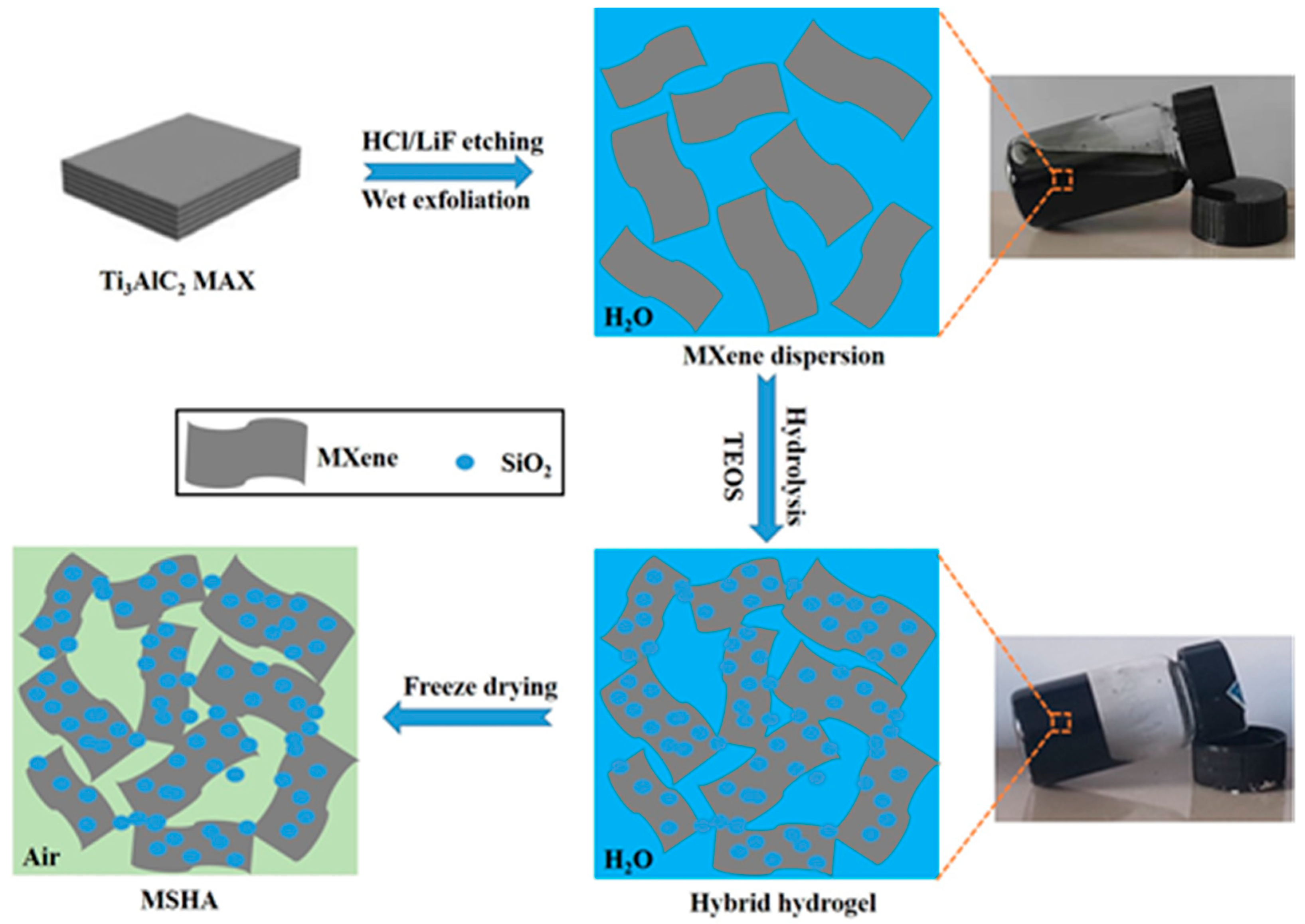 Molecules 27 07073 g001 Molecules 27 07073 g001