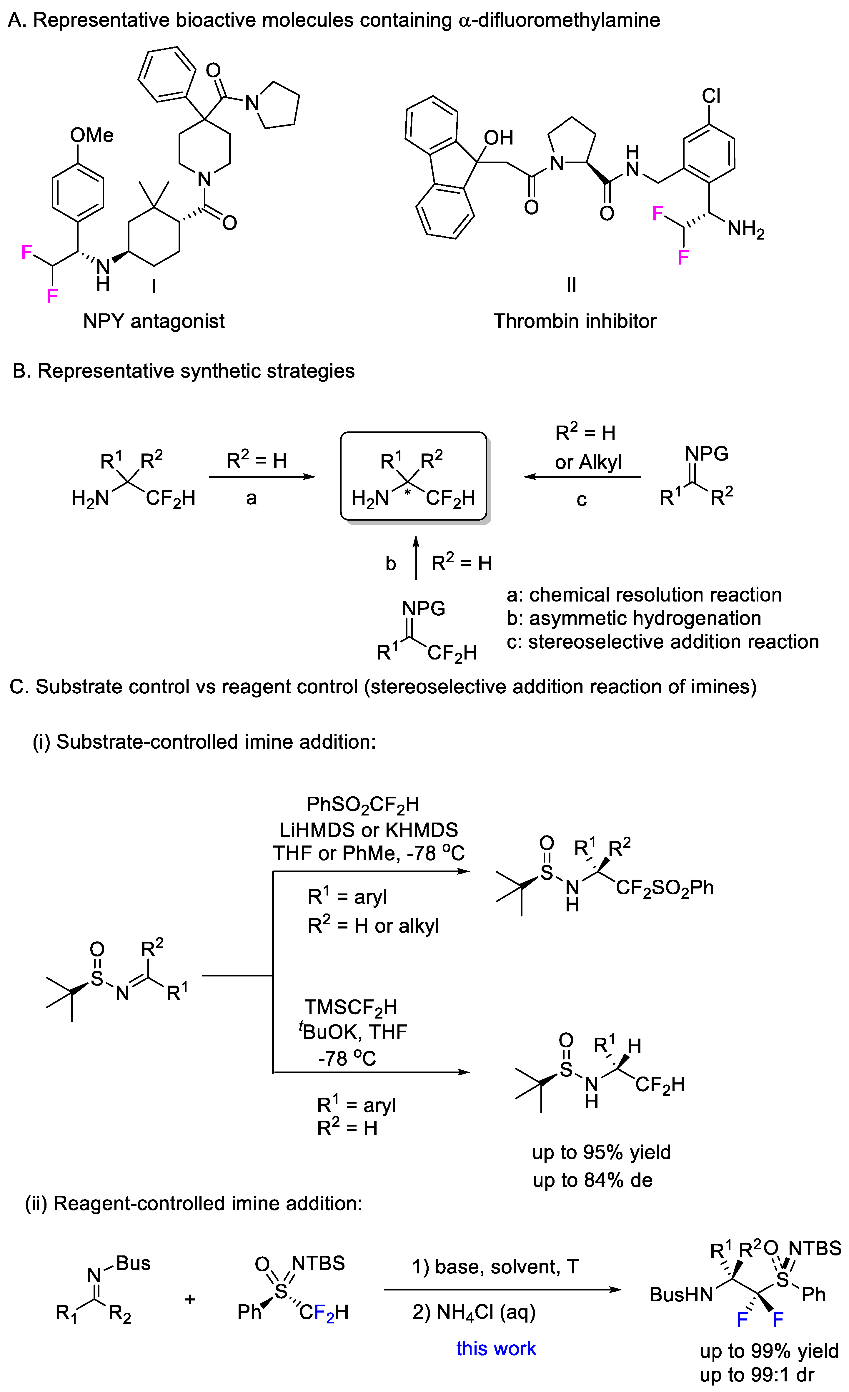 Molecules 27 07076 g001 Molecules 27 07076 g001
