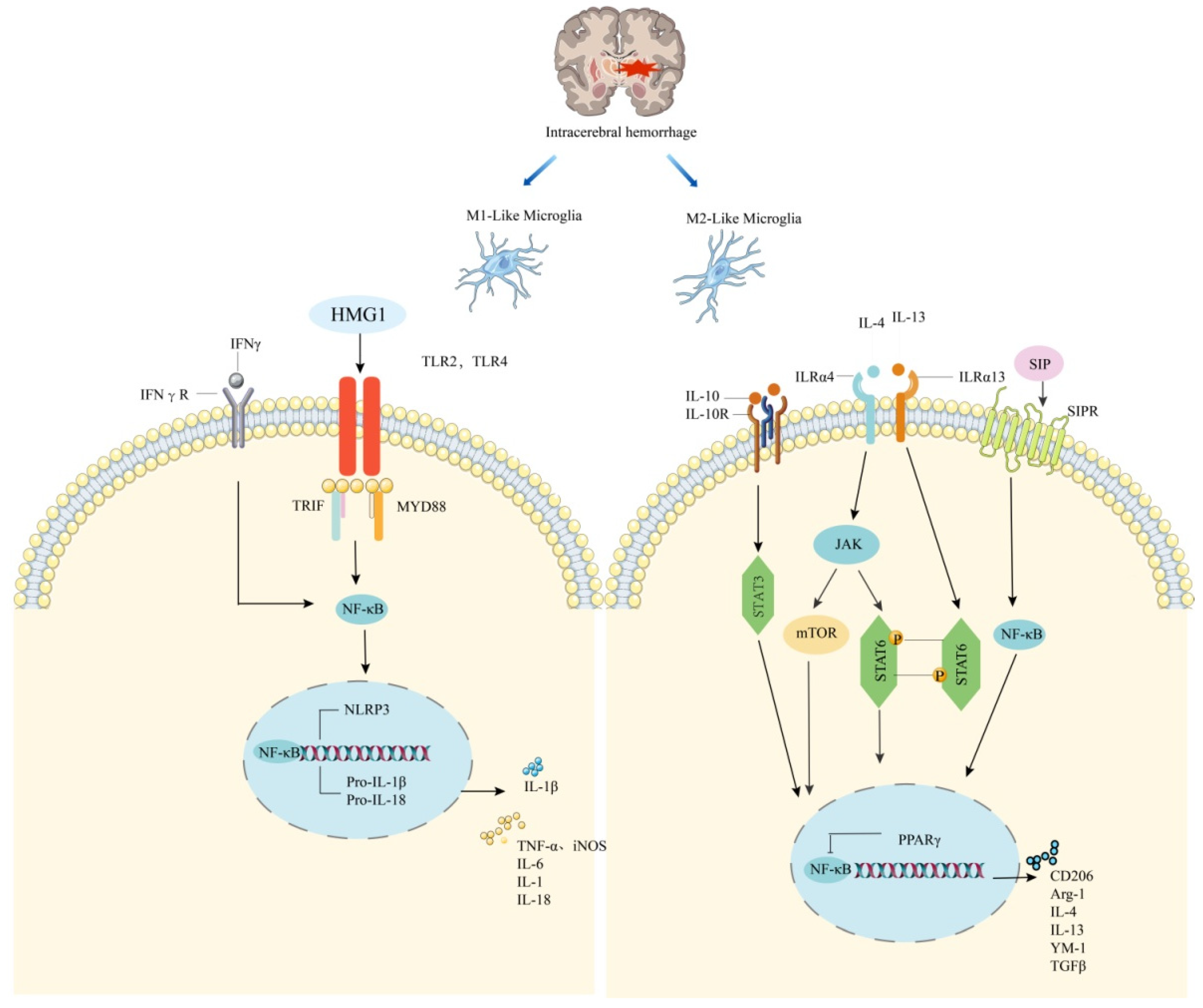 Molecules 27 07080 g001 Molecules 27 07080 g001