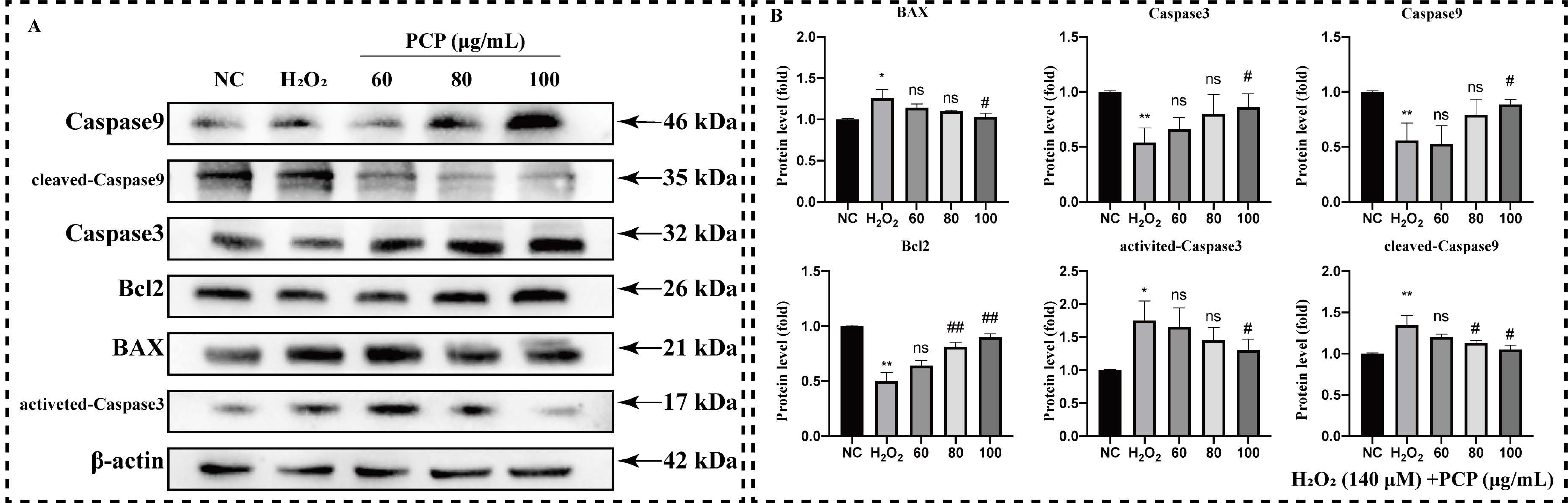 Molecules 27 07088 g004