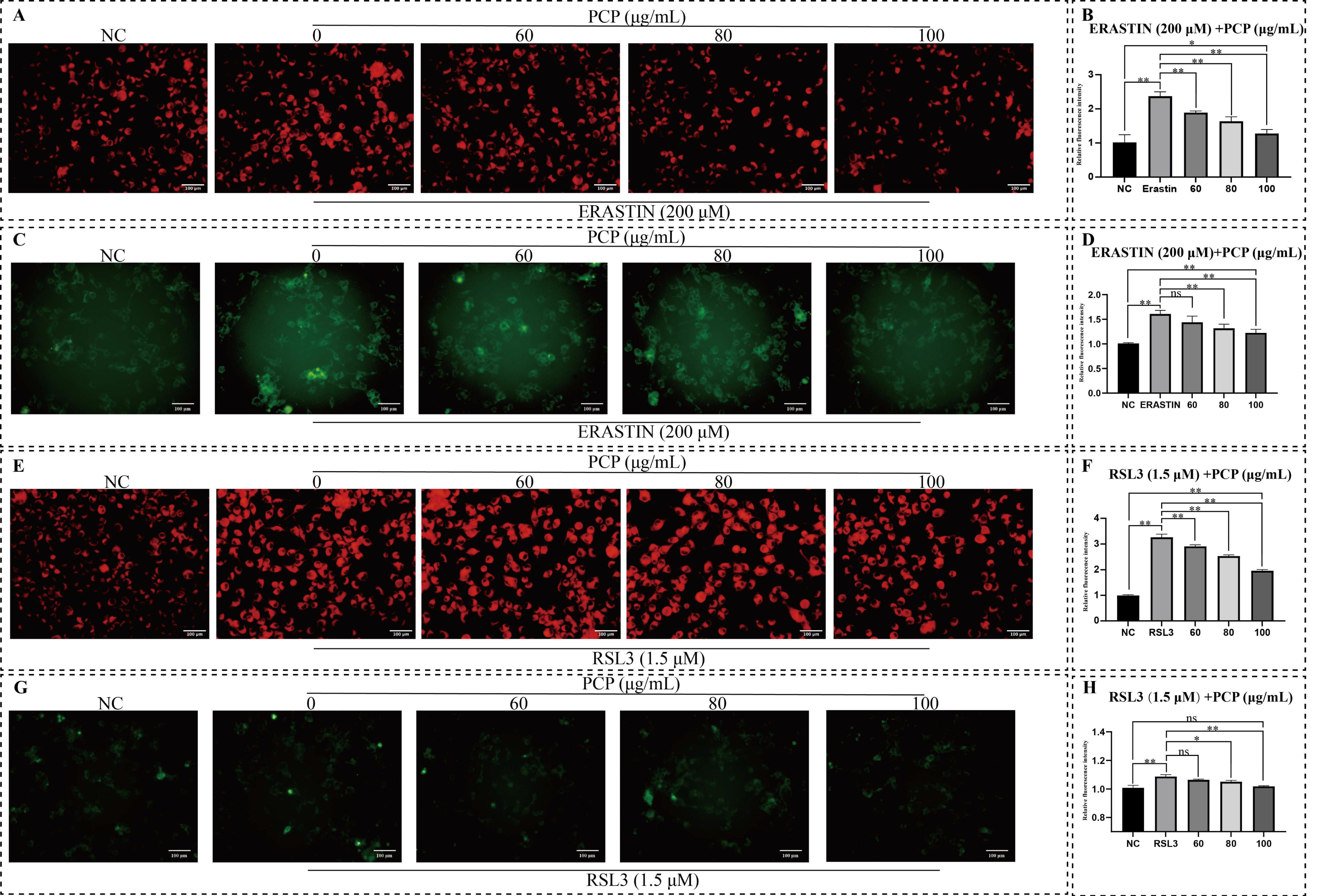 Molecules 27 07088 g010
