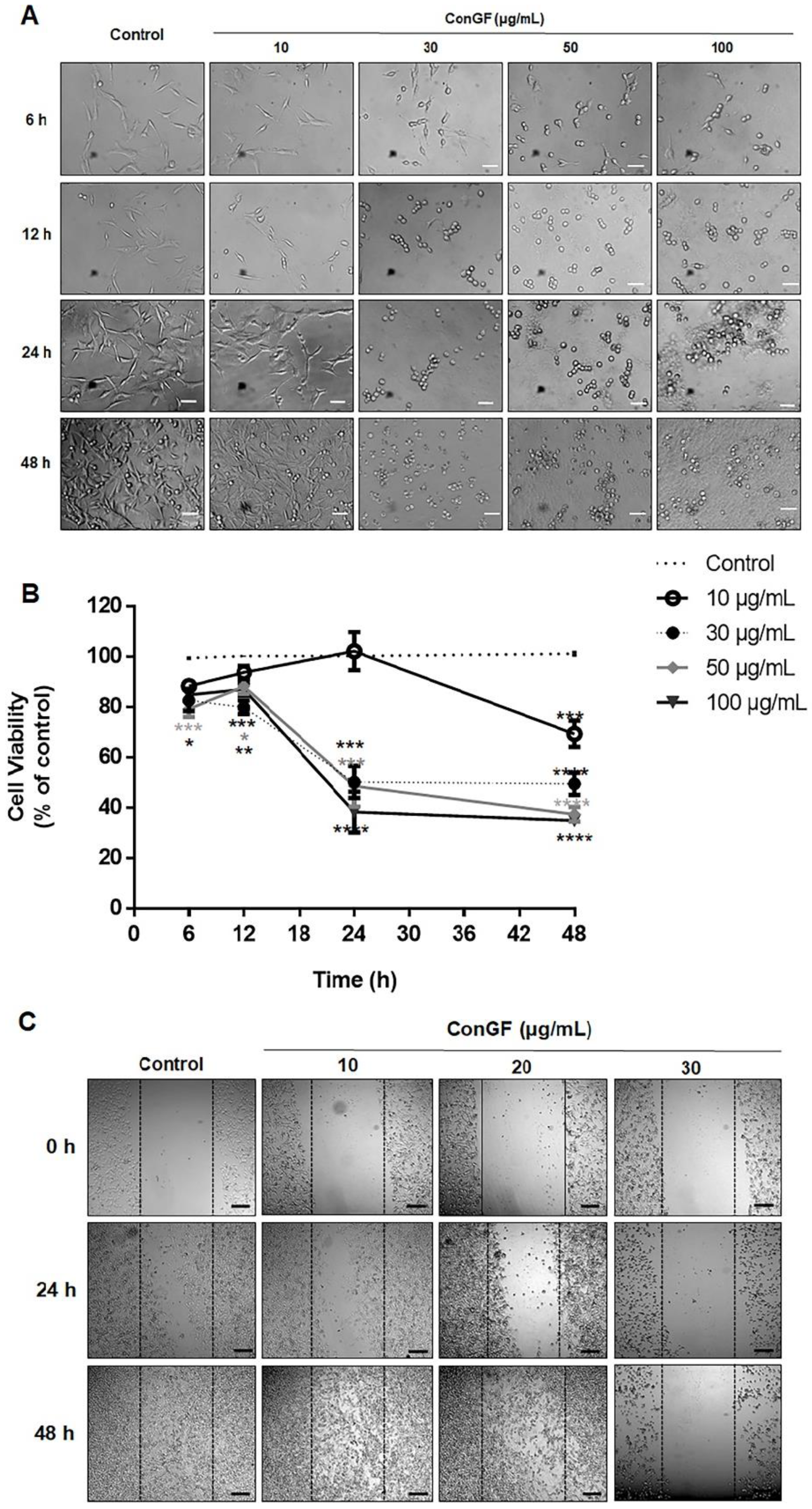 Molecules 27 07089 g001 Molecules 27 07089 g001