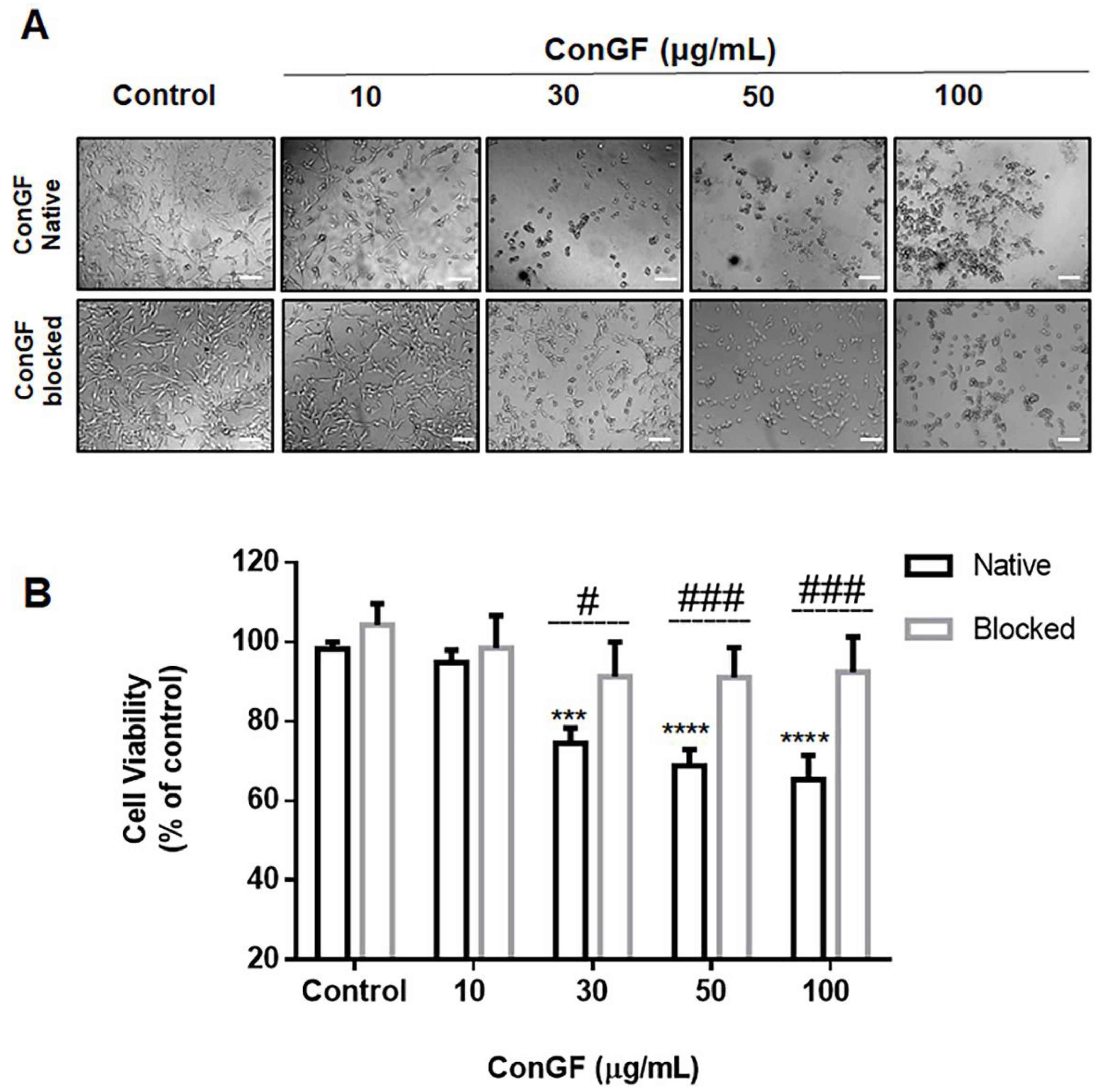 Molecules 27 07089 g002 Molecules 27 07089 g002
