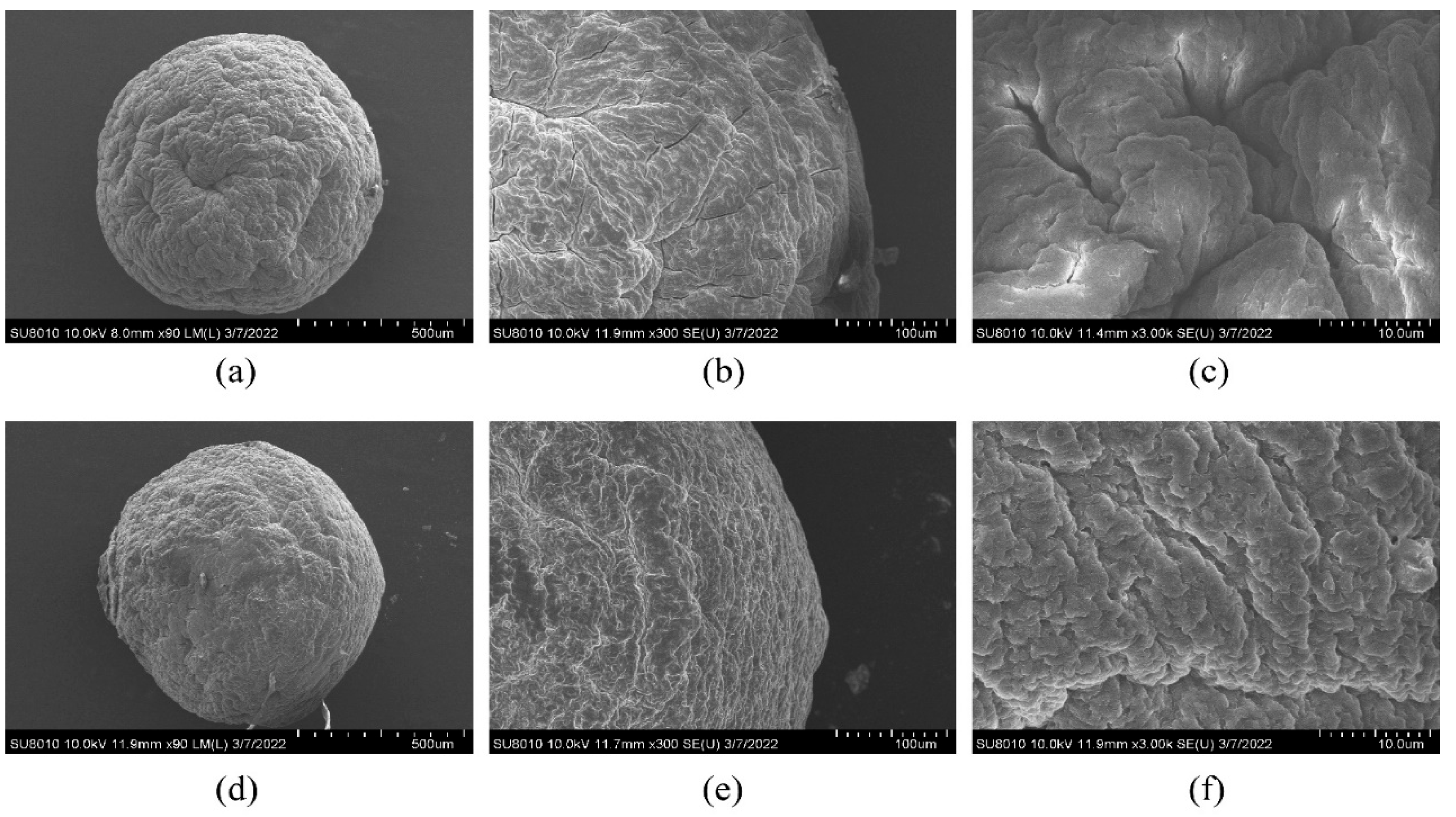 Molecules 27 07096 g004