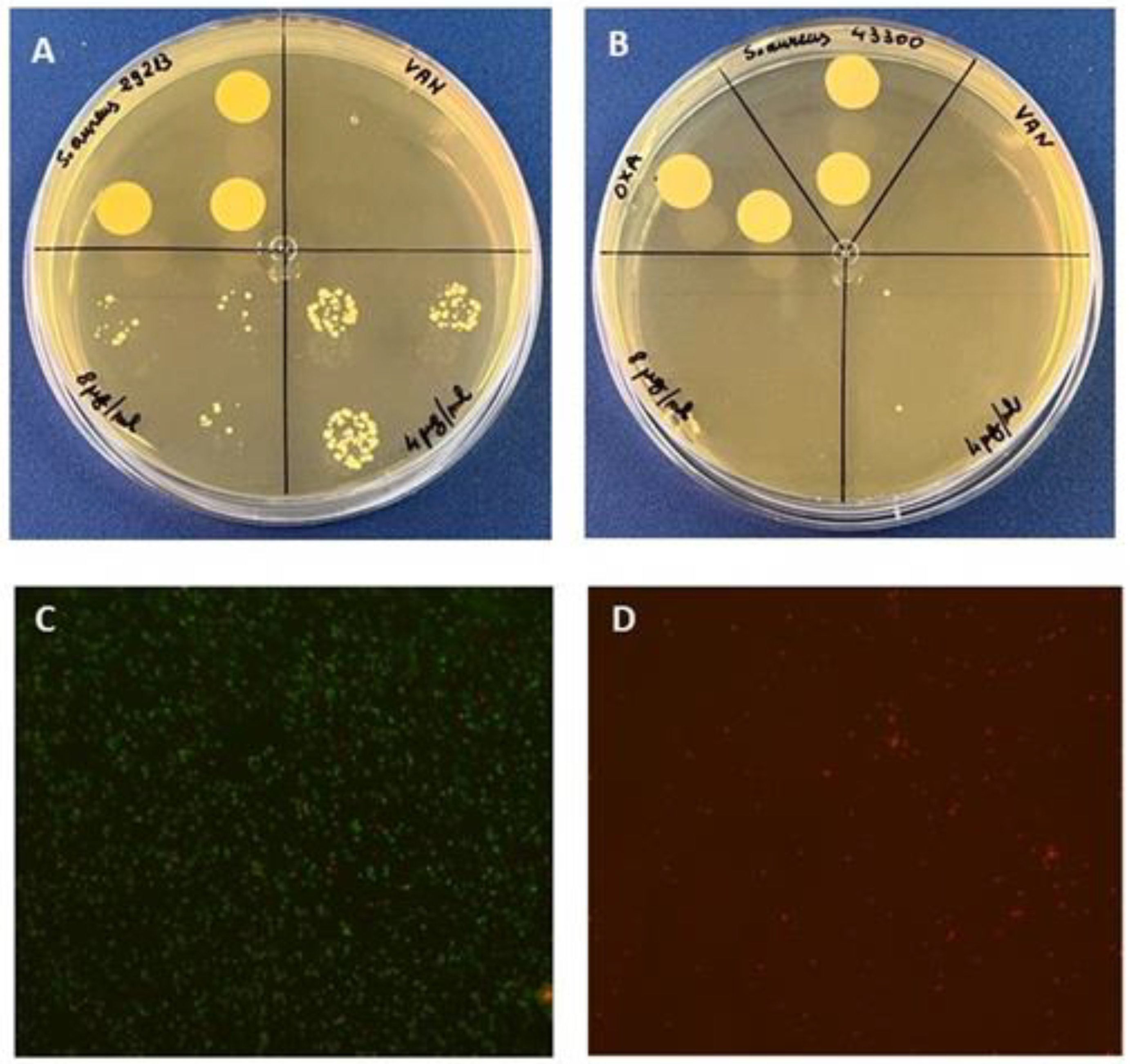Molecules 27 07109 g003
