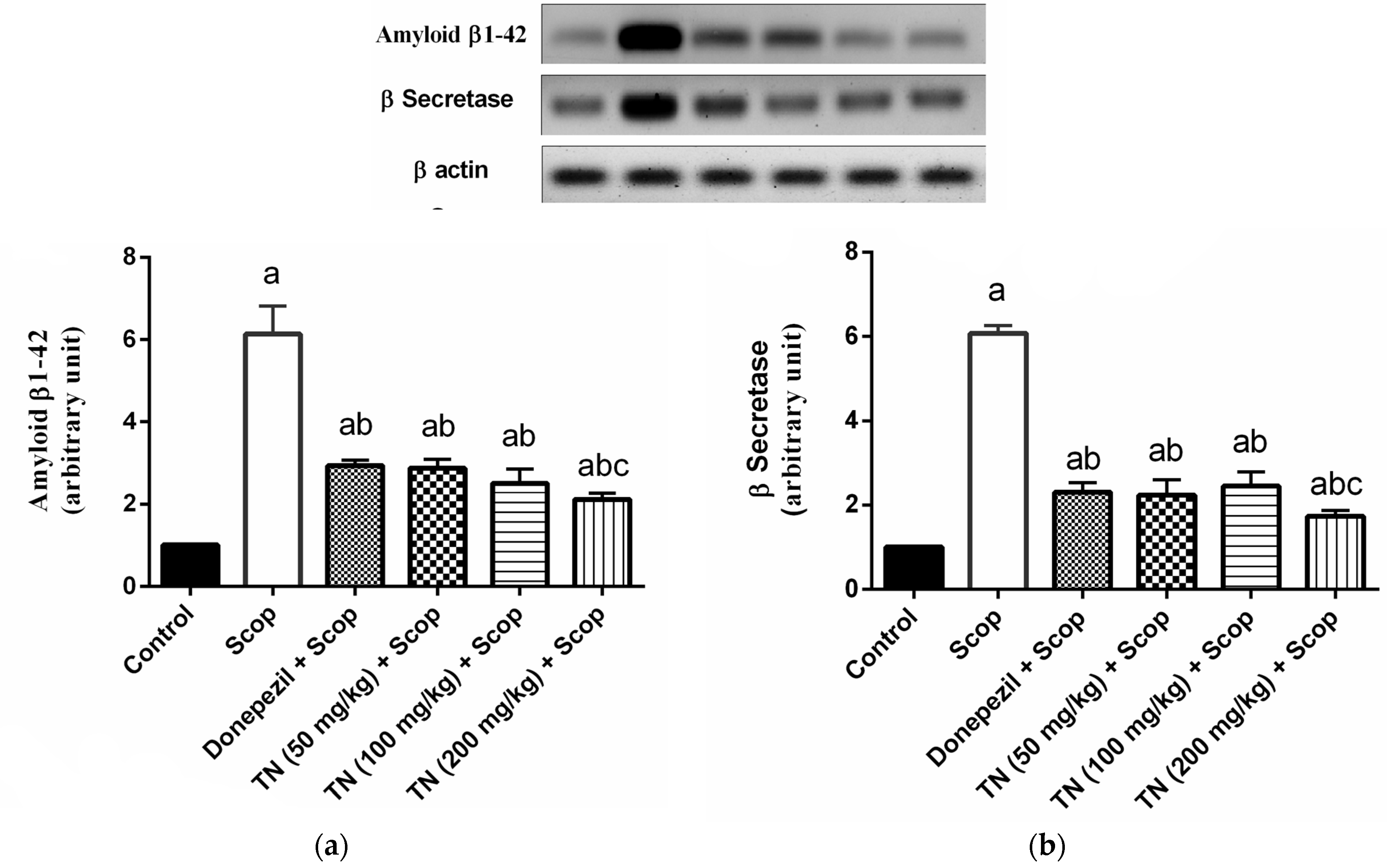Molecules 27 07118 g007