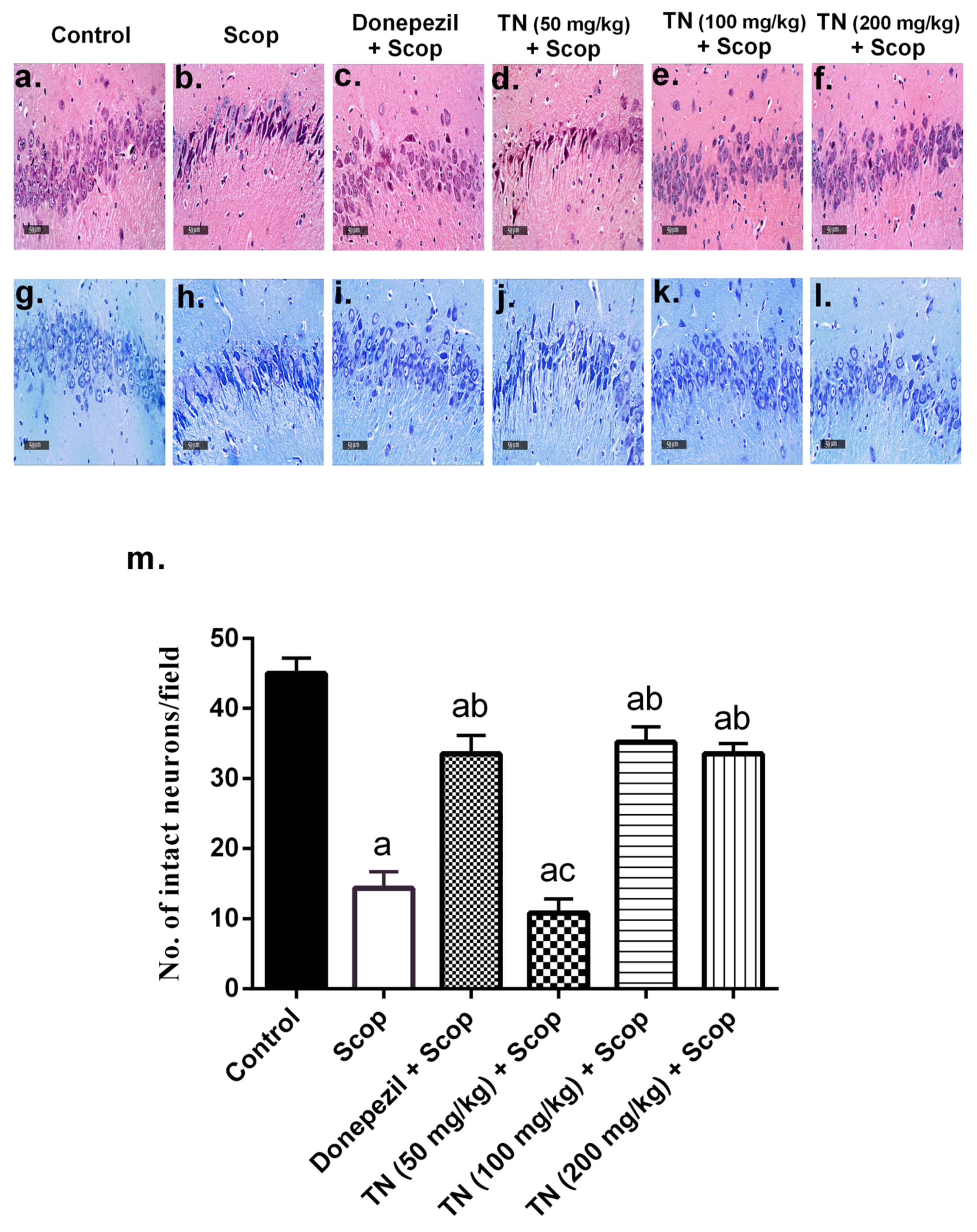 Molecules 27 07118 g008