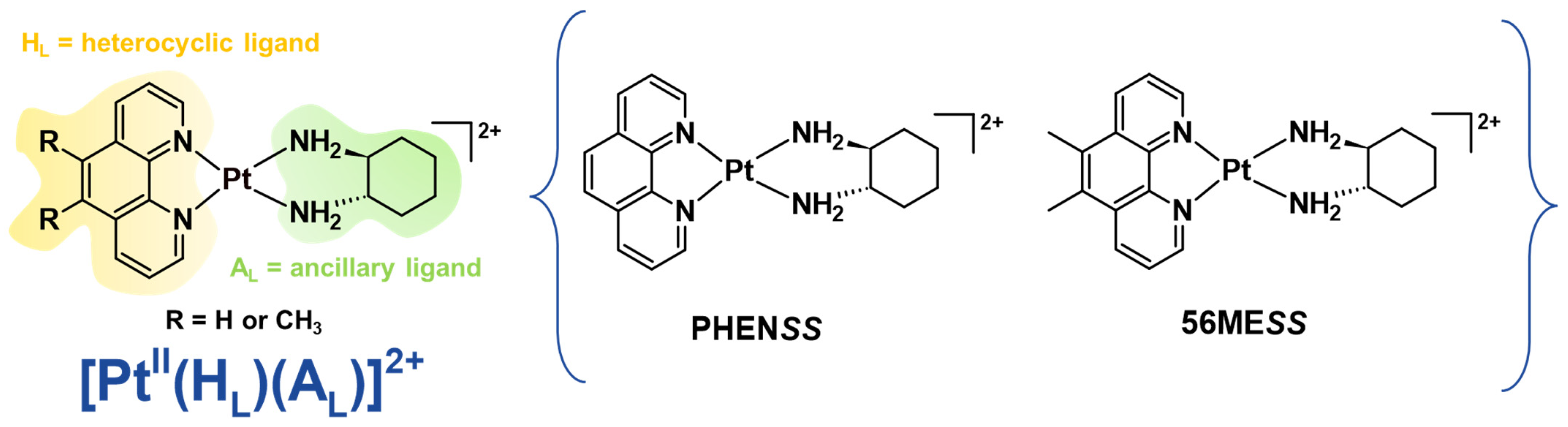 Molecules 27 07120 g002 Molecules 27 07120 g002