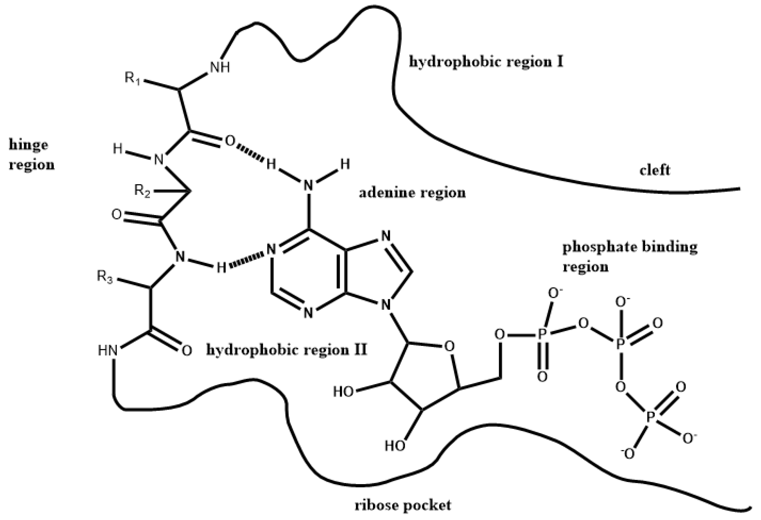 Molecules Free FullText Molecular Recognition of FDAApproved Small Molecule Protein Kinase