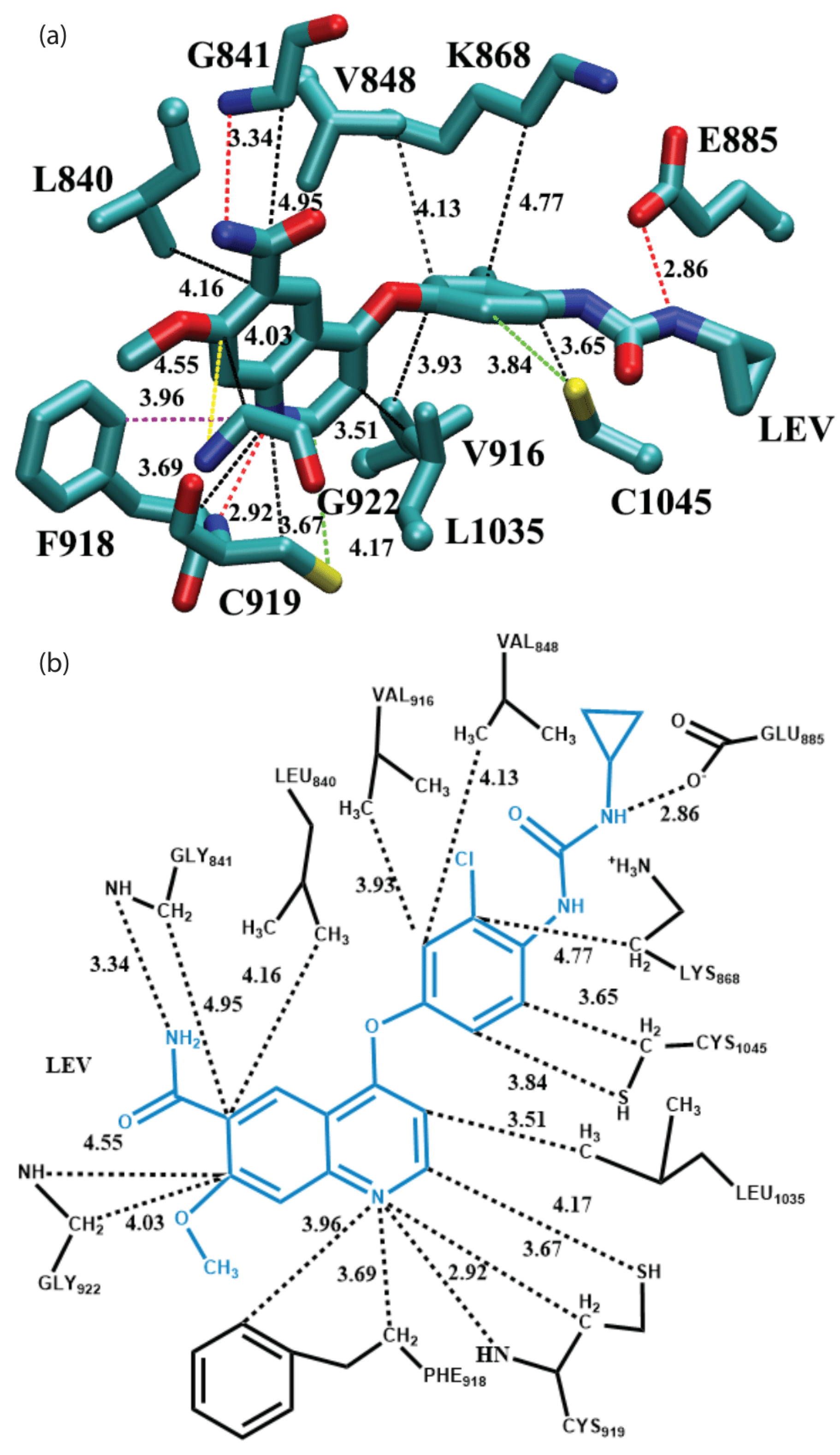 Molecules 27 07124 g005