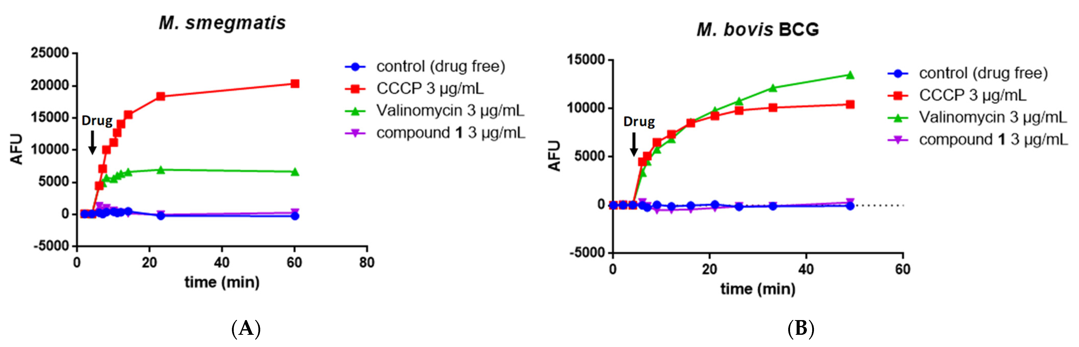 Molecules 27 07130 g005 Molecules 27 07130 g005