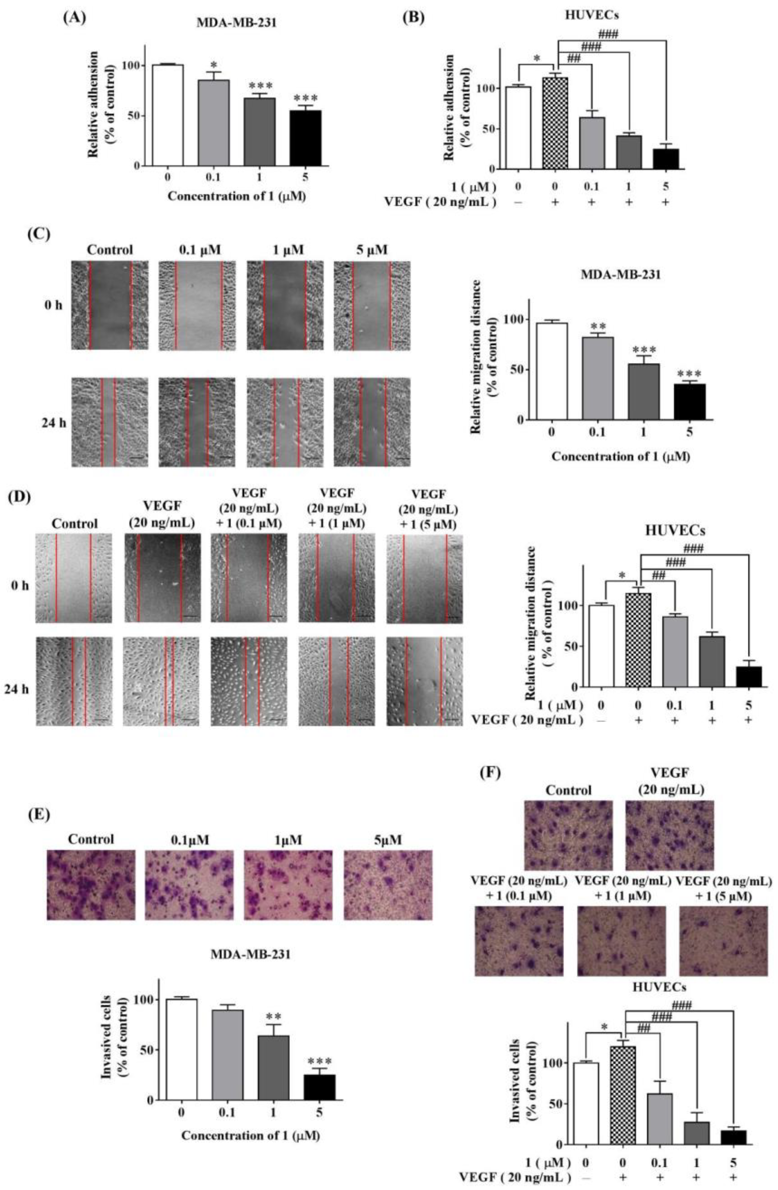Molecules 27 07132 g002 Molecules 27 07132 g002