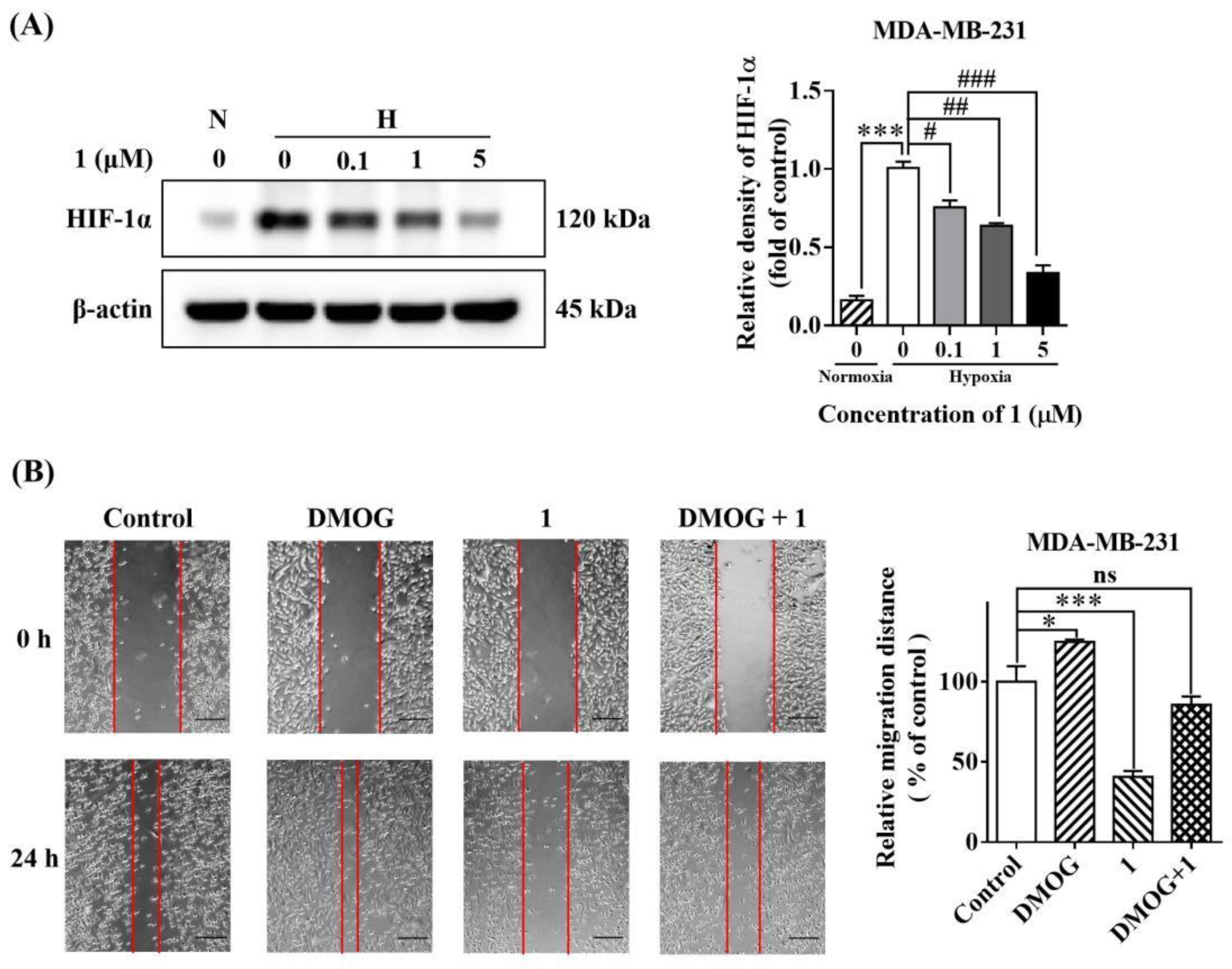 Molecules 27 07132 g005 Molecules 27 07132 g005