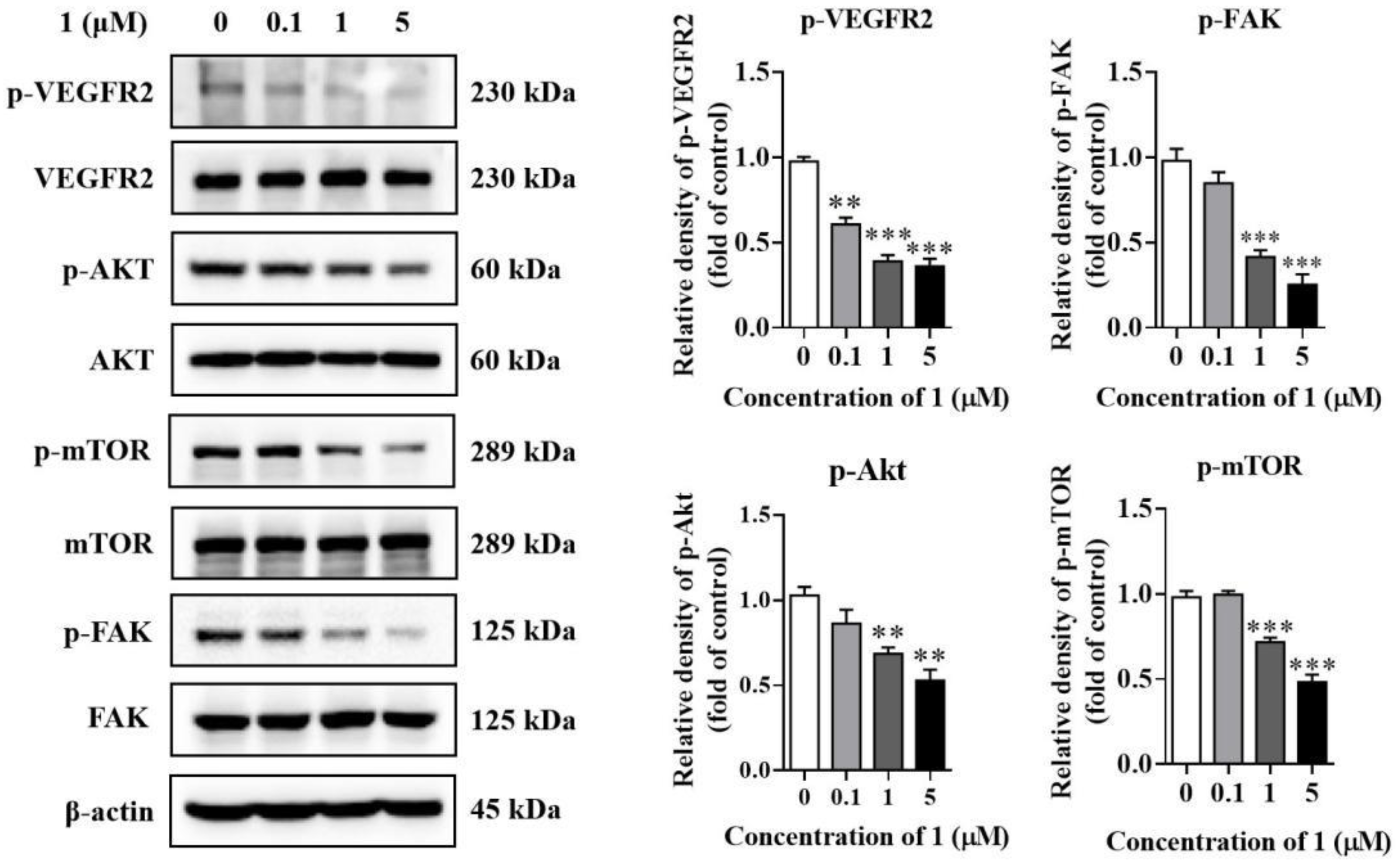 Molecules 27 07132 g006 Molecules 27 07132 g006