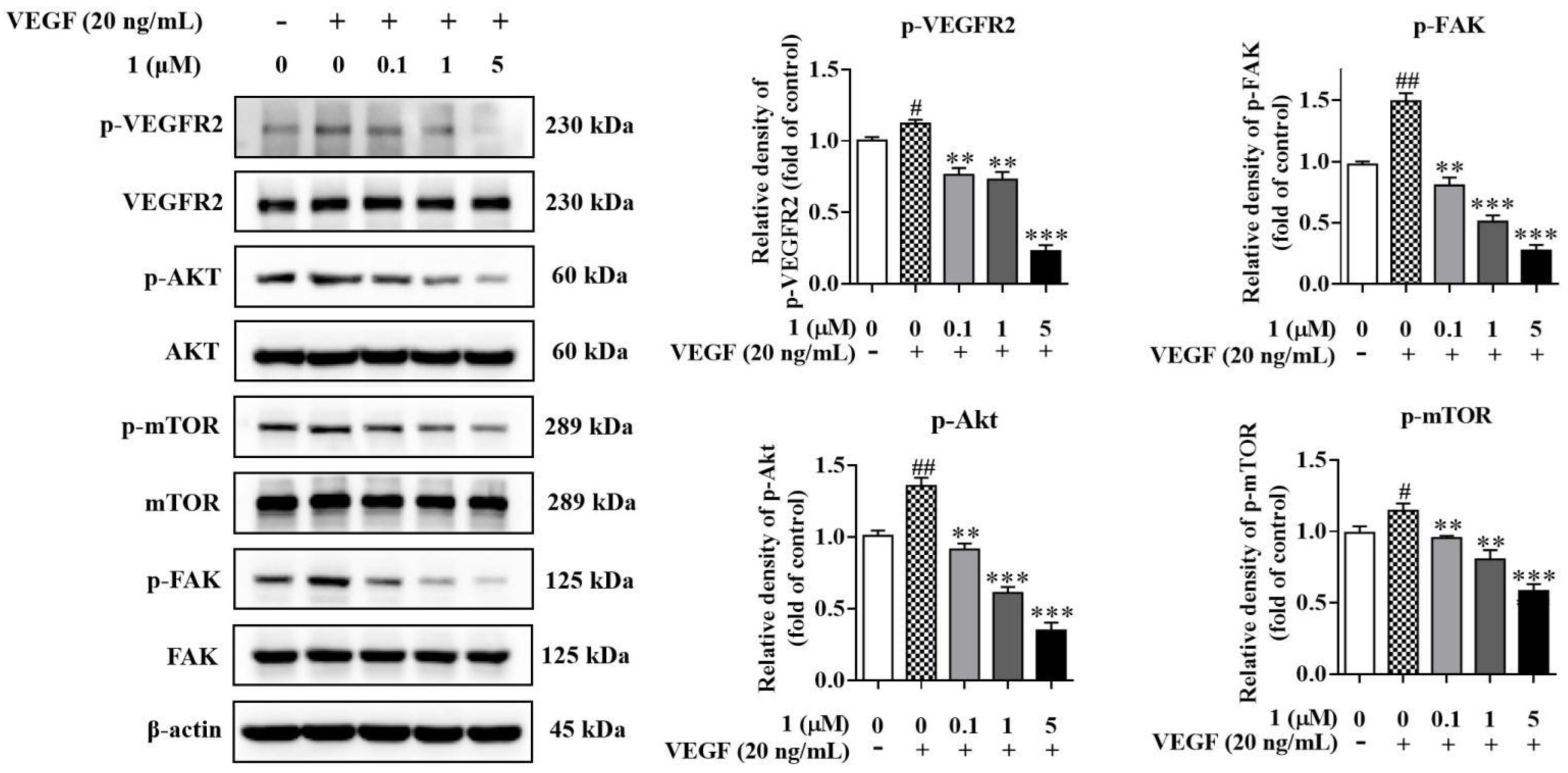 Molecules 27 07132 g007 Molecules 27 07132 g007