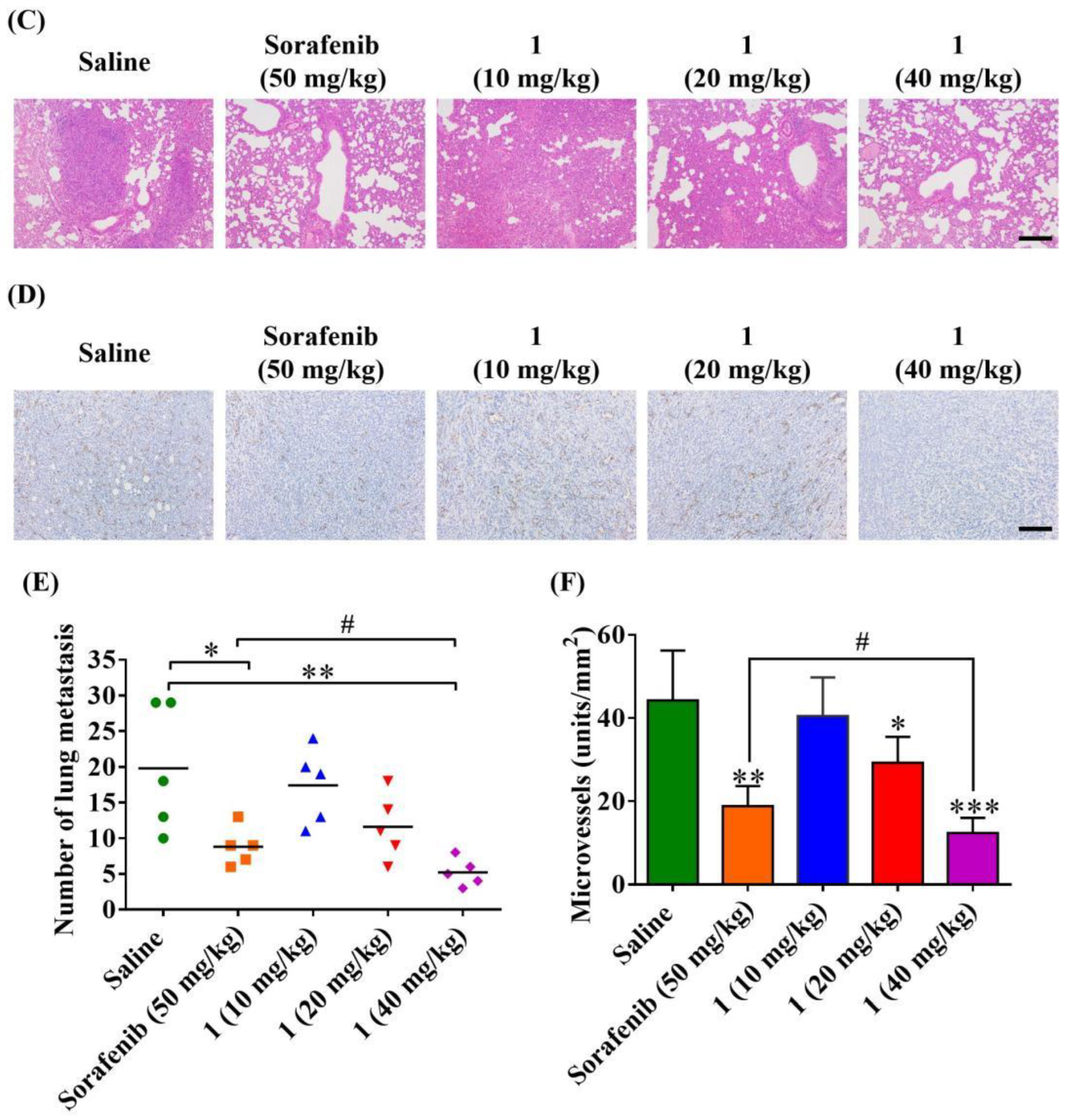 Molecules 27 07132 g009b Molecules 27 07132 g009b