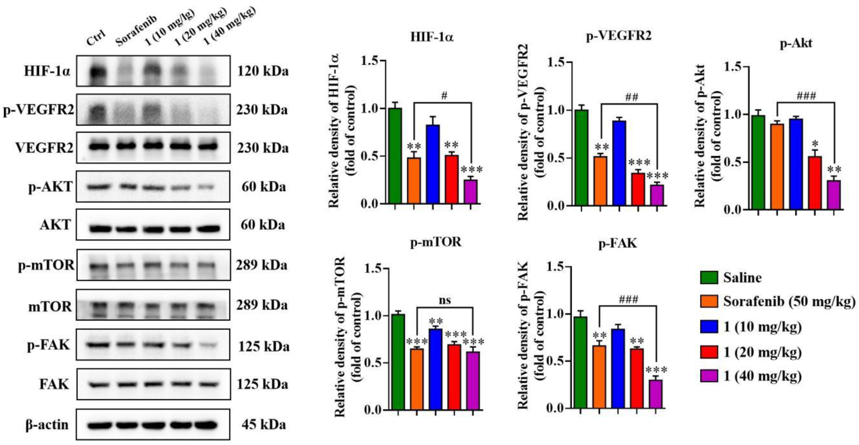Molecules 27 07132 g010 Molecules 27 07132 g010