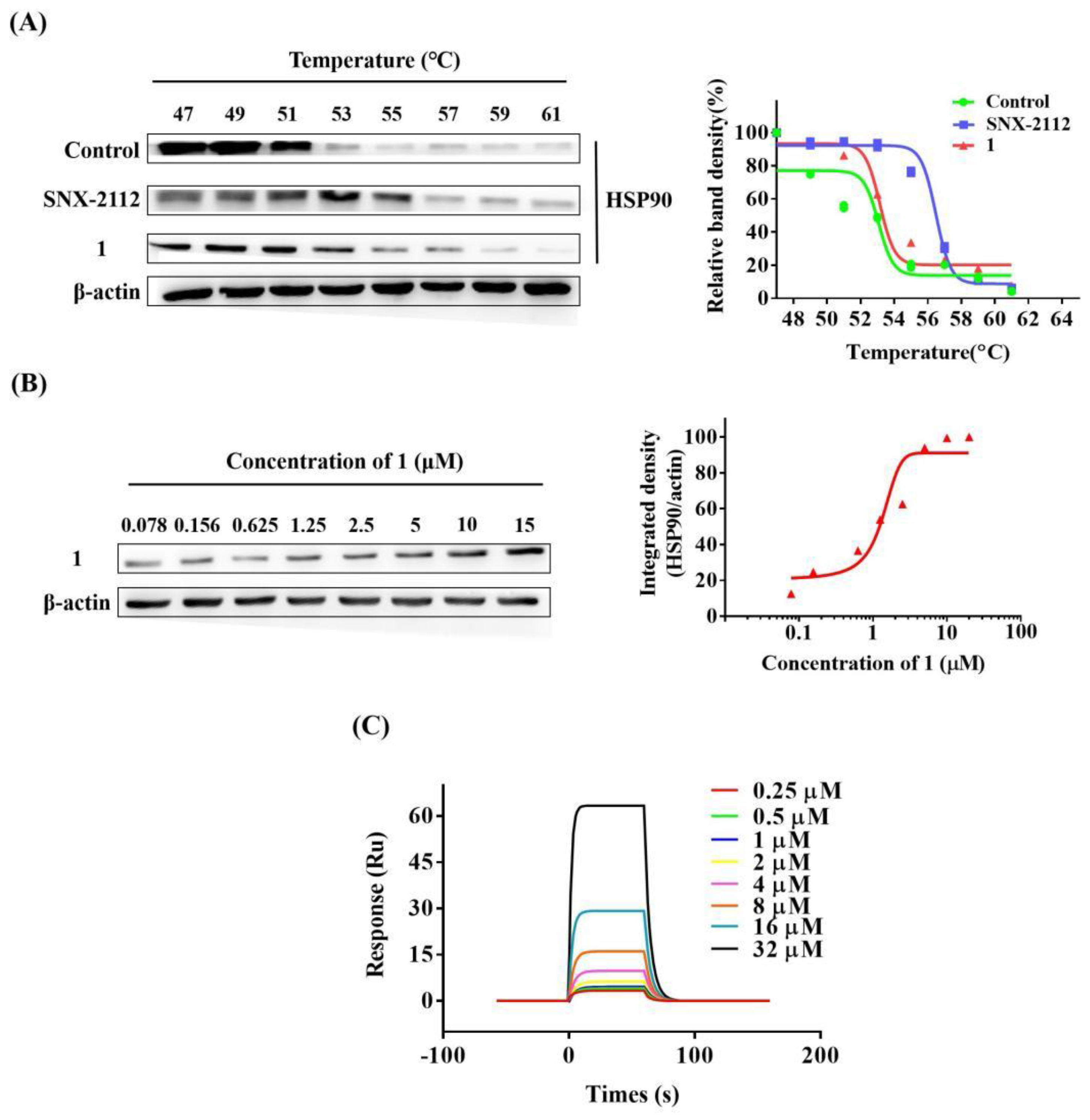 Molecules 27 07132 g011 Molecules 27 07132 g011
