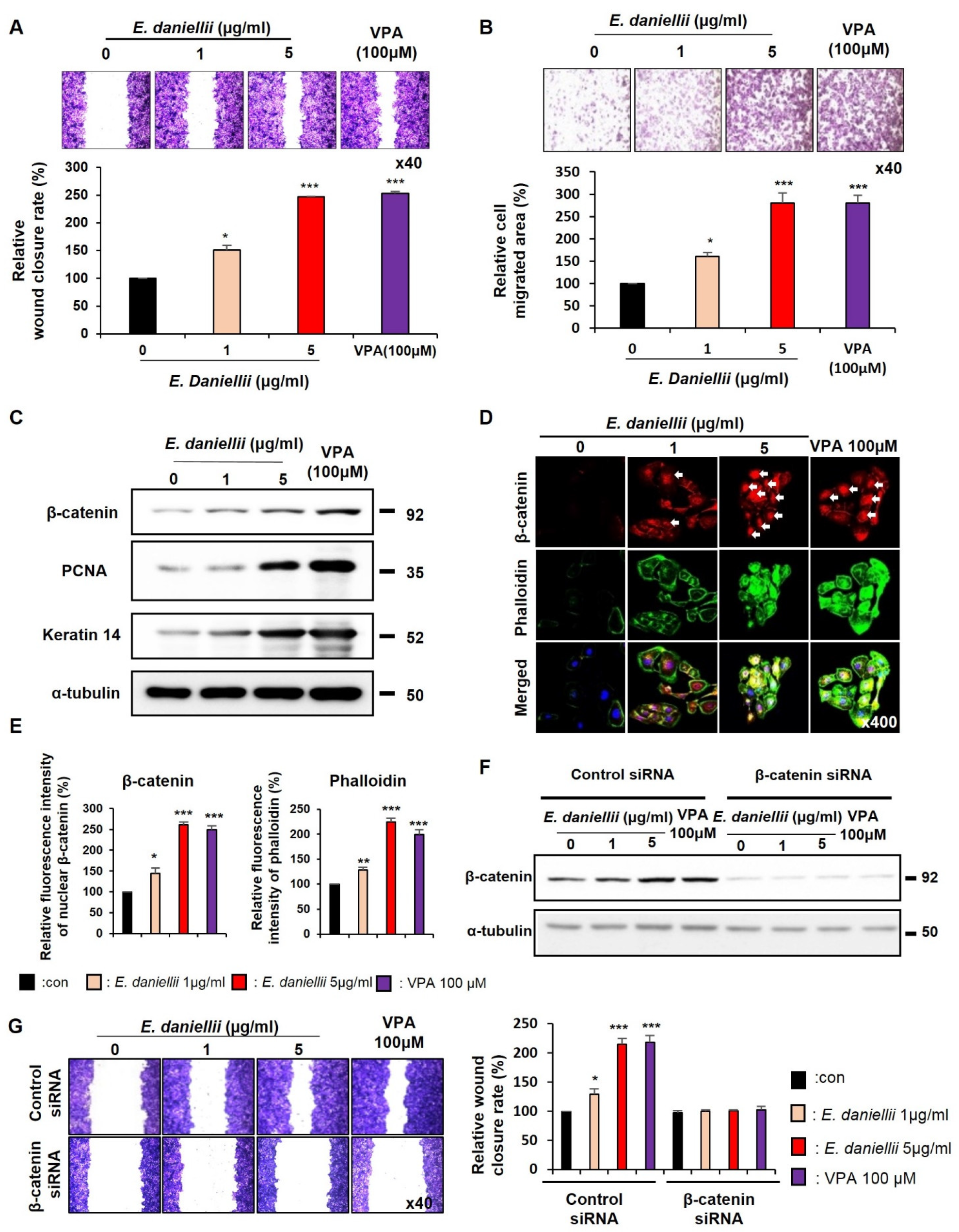 Molecules 27 07134 g001